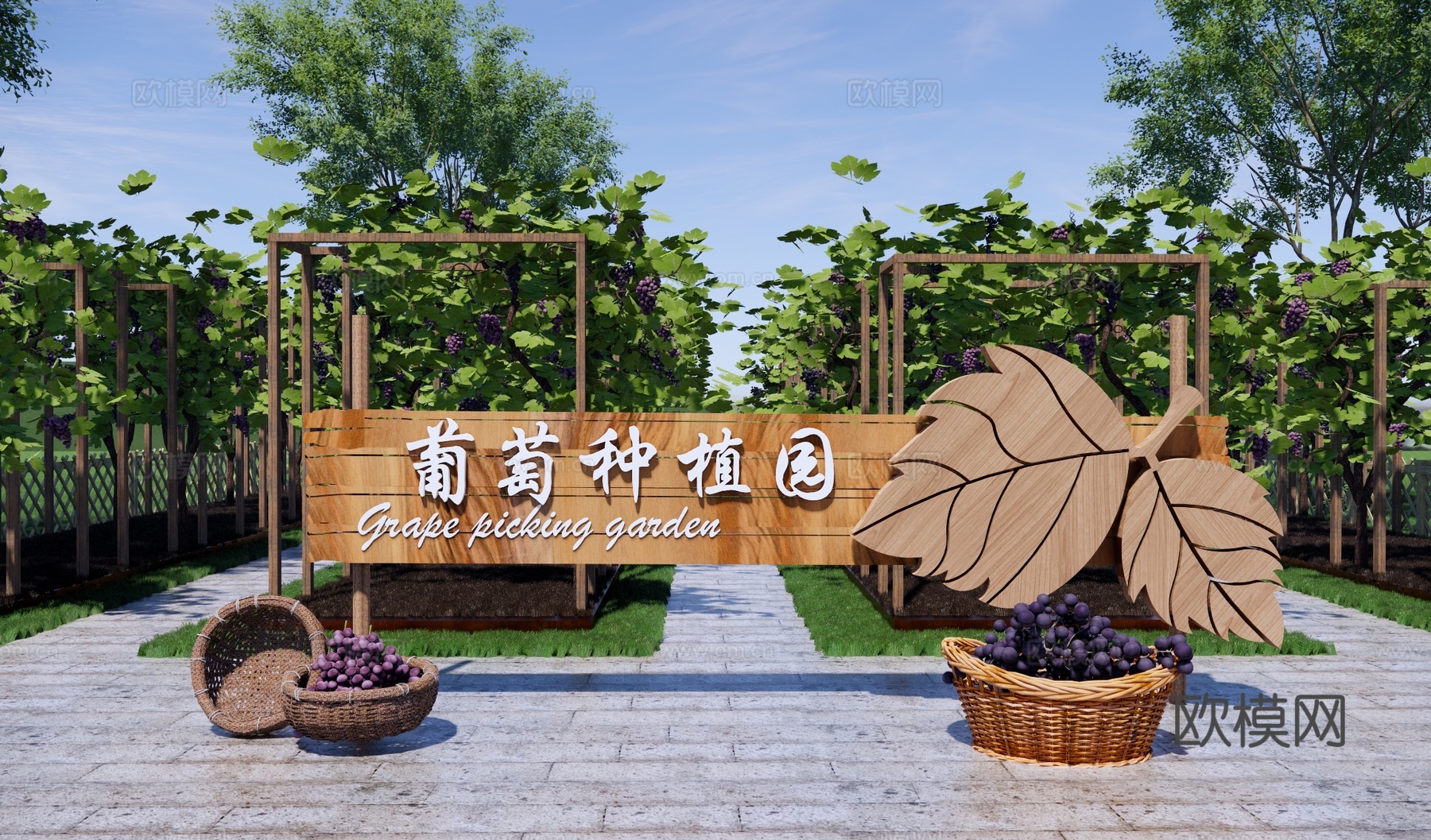 现代乡村葡萄公园景观 葡萄种植园 葡萄采摘园 水果示范基地su模型