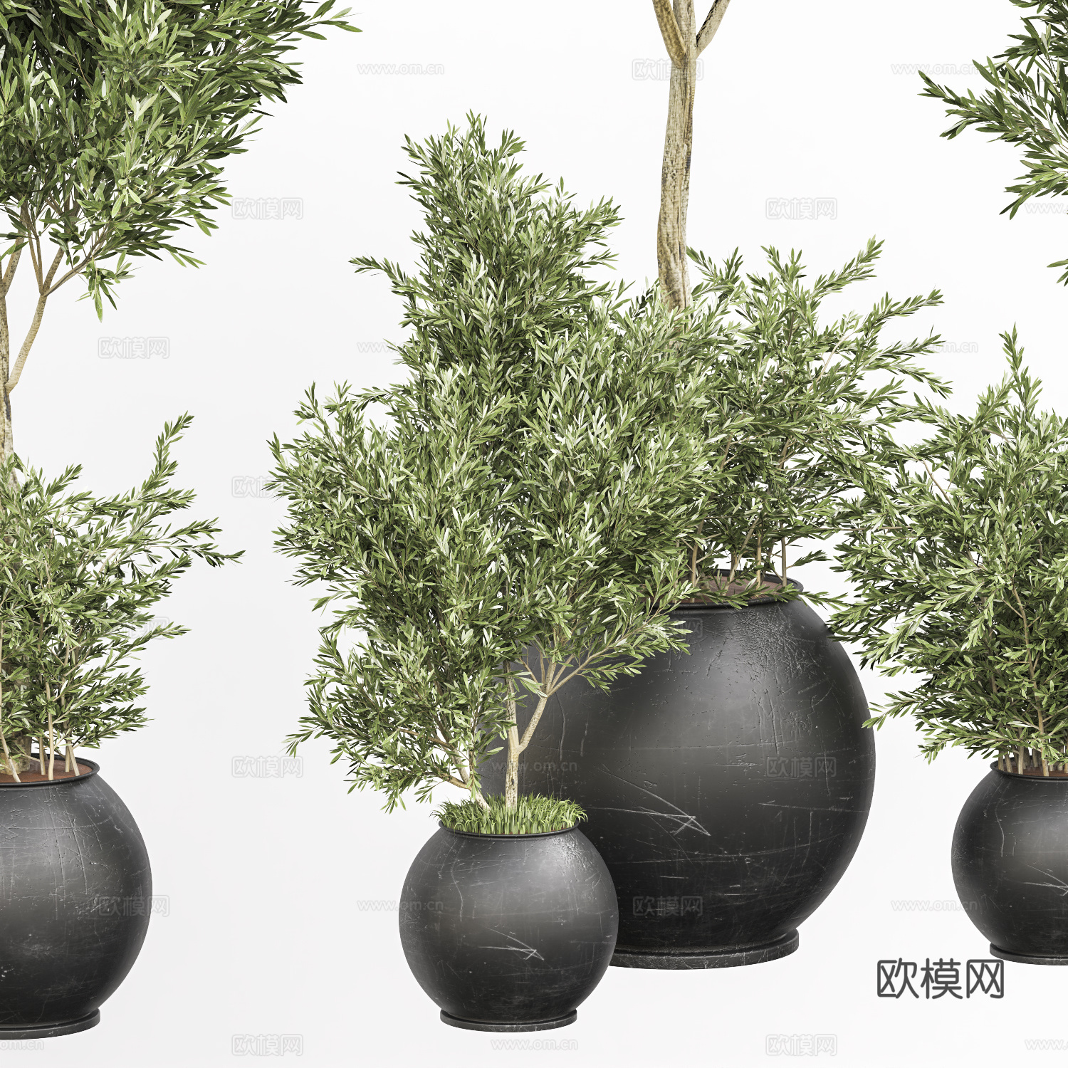 新中式绿植盆栽3d模型