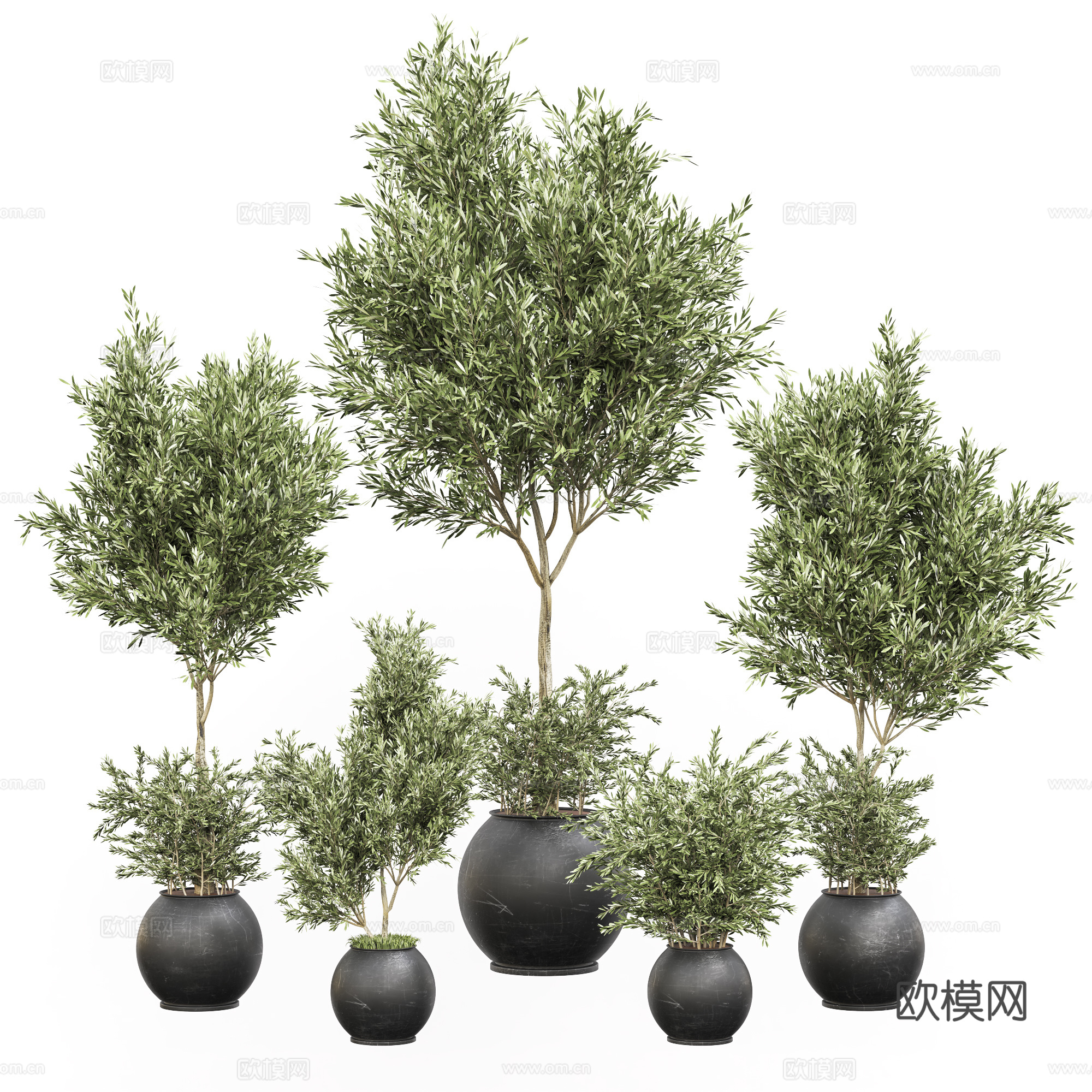 新中式绿植盆栽3d模型
