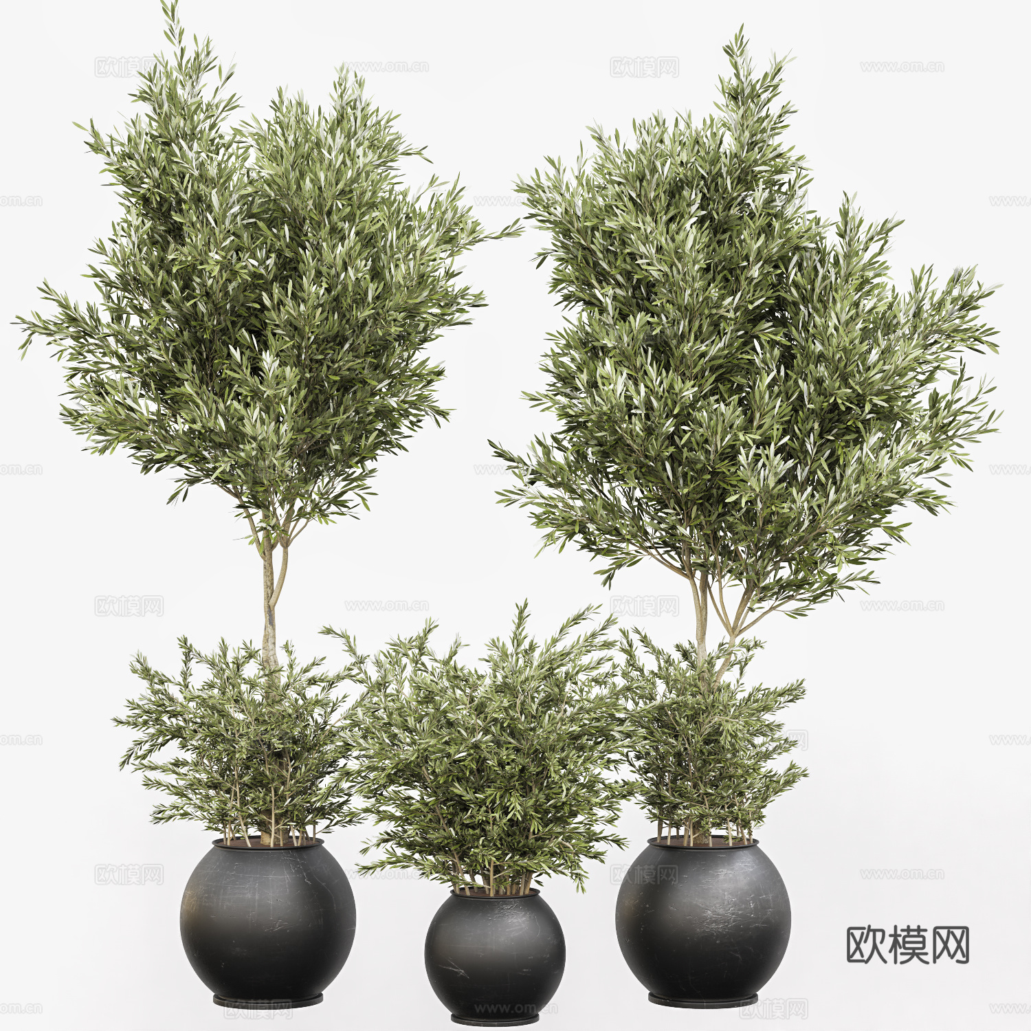新中式绿植盆栽3d模型