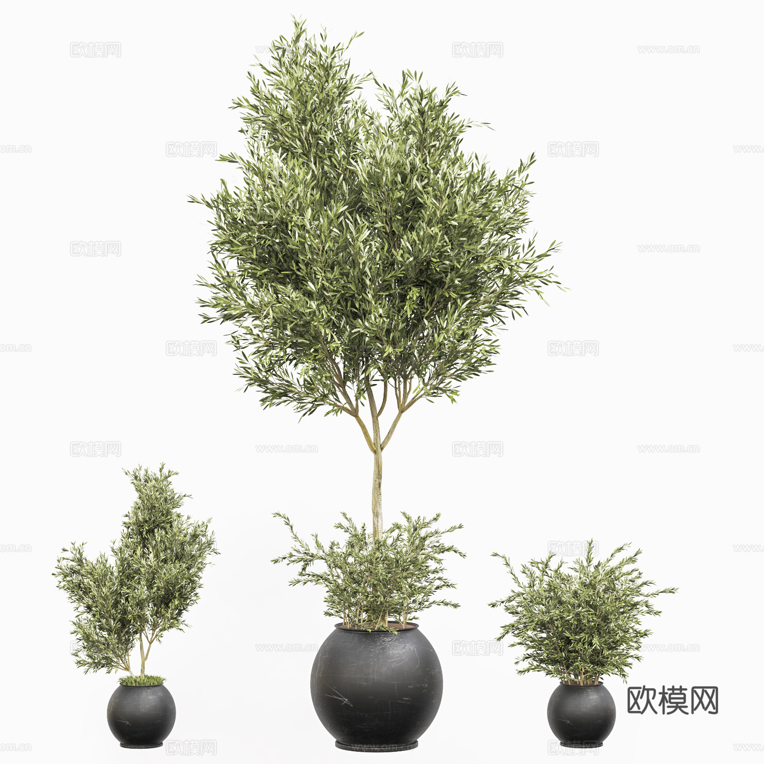新中式绿植盆栽3d模型