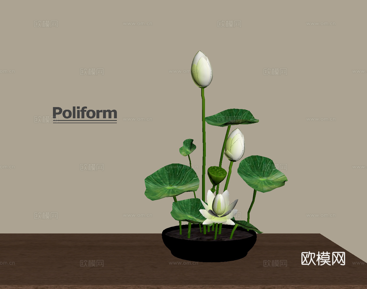 现代盆栽绿植 植物su模型