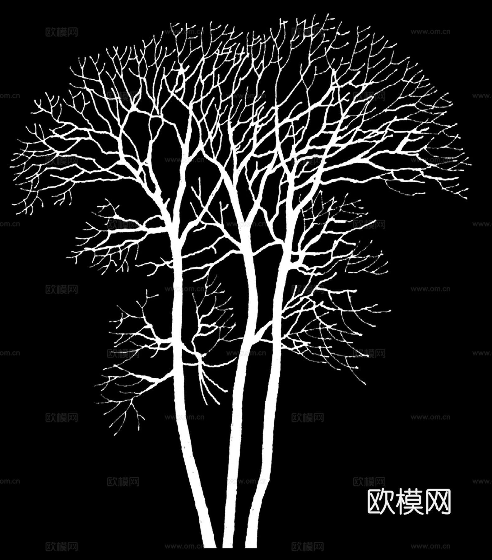 树影黑白凹凸下载