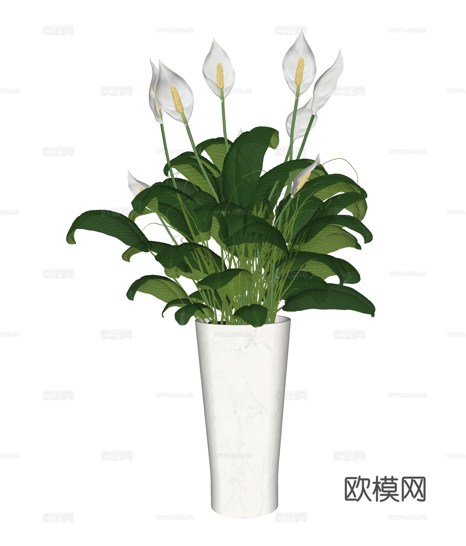 现代植物花草  花艺花卉 室内绿植su模型
