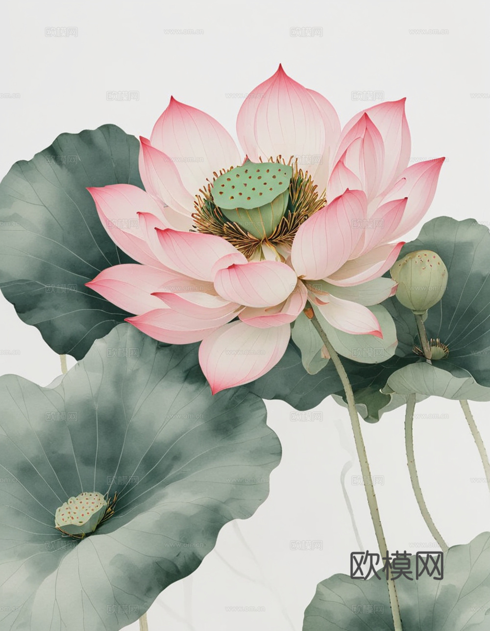 装饰挂画 工笔画 荷花