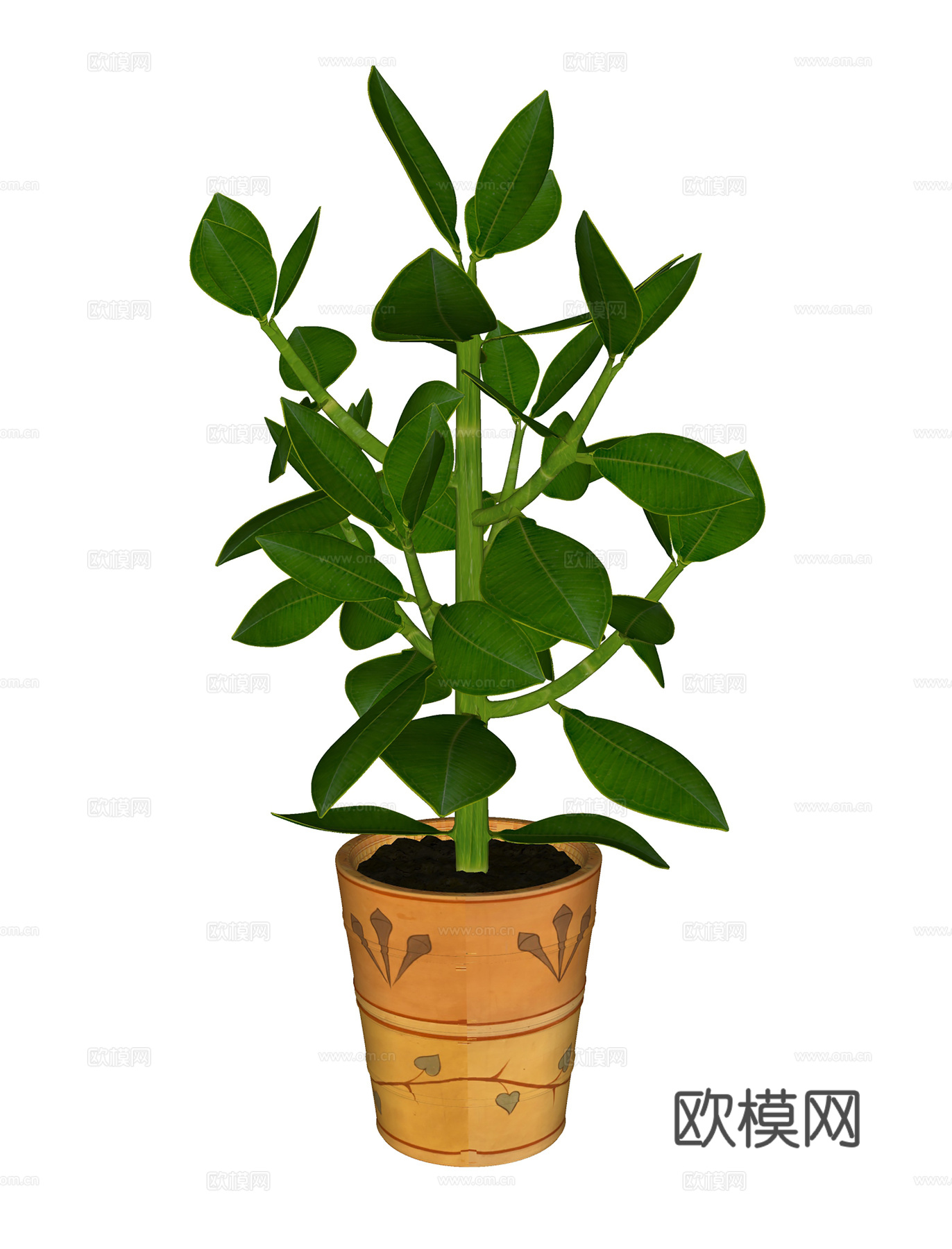 现代植物花草  盆栽盆景  室内绿植su模型
