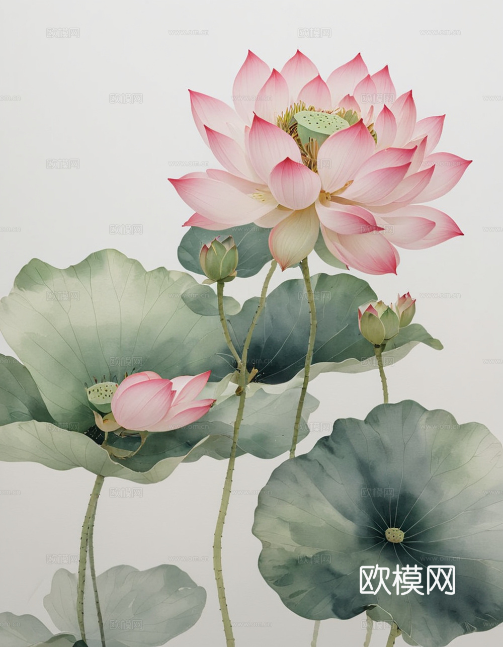 装饰挂画 工笔画 荷花