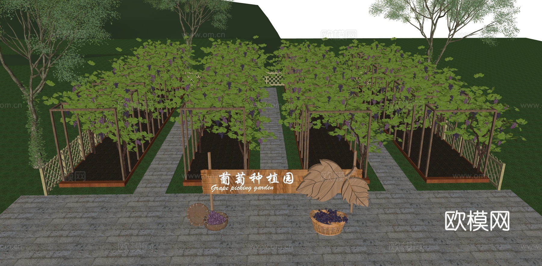 现代乡村葡萄公园景观 葡萄种植园 葡萄采摘园 水果示范基地su模型