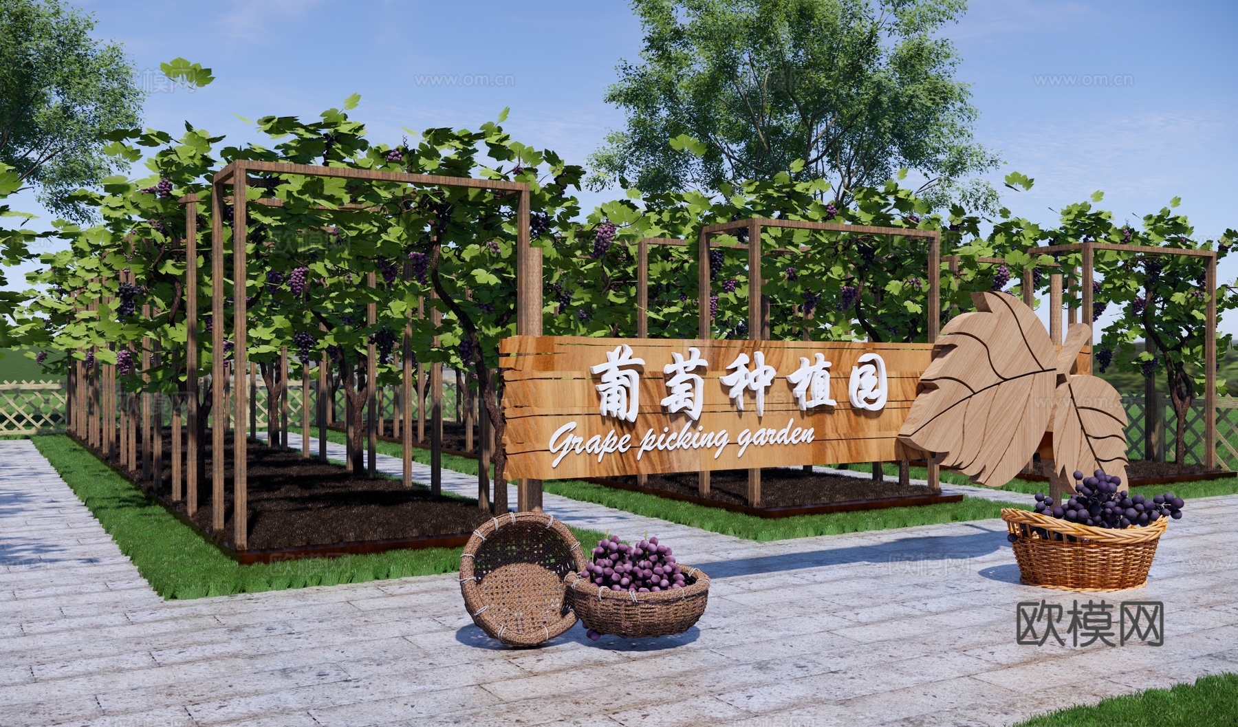 现代乡村葡萄公园景观 葡萄种植园 葡萄采摘园 水果示范基地su模型