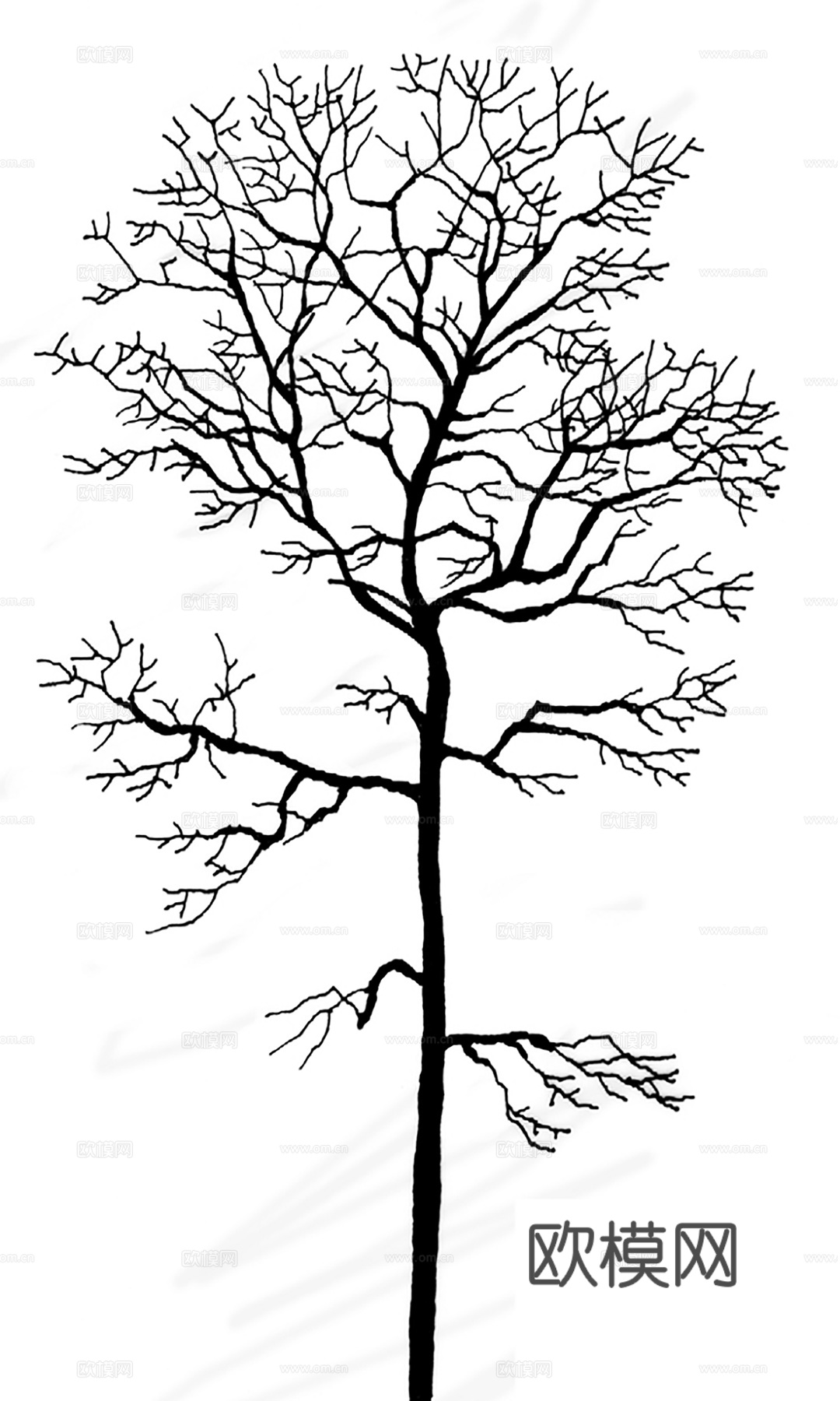 树影黑白凹凸下载