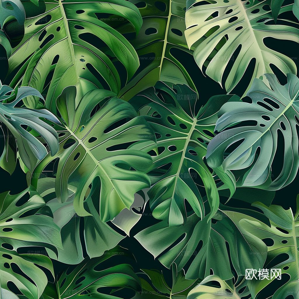 热带雨林壁纸 植物壁纸 壁纸 墙纸下载