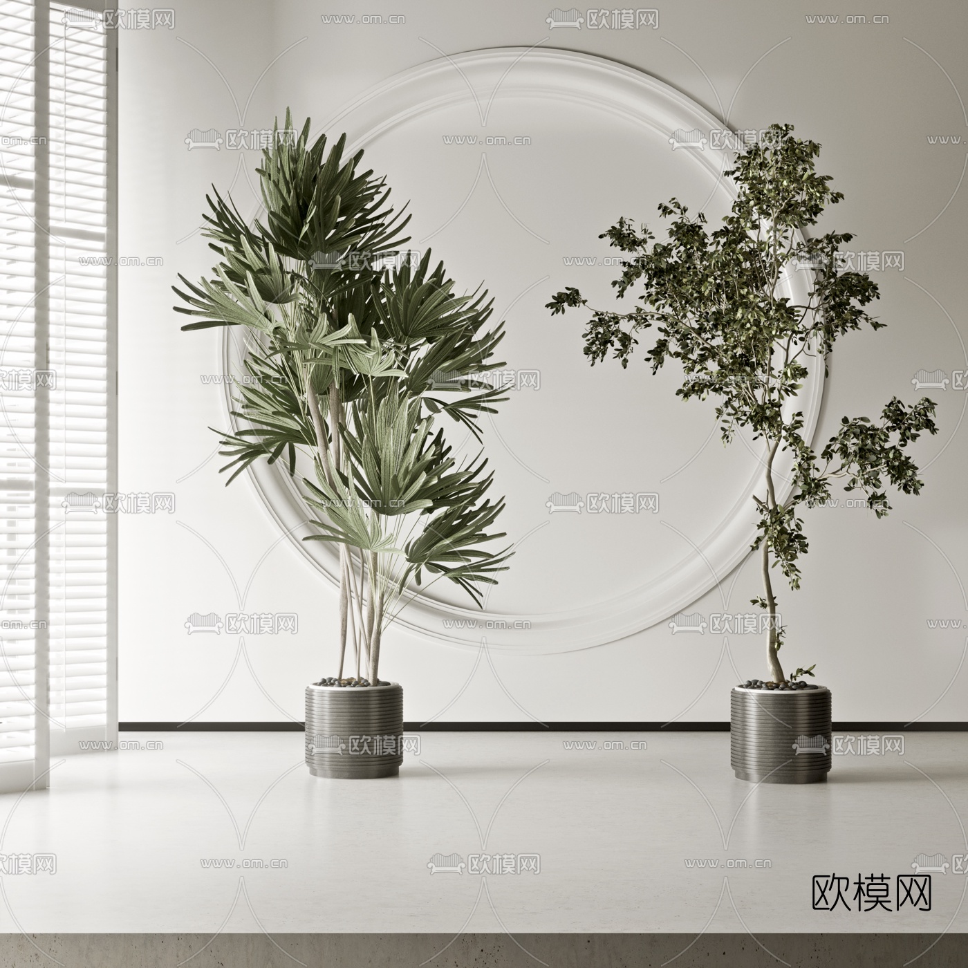 现代植物盆栽3d模型下载（渲染图1）