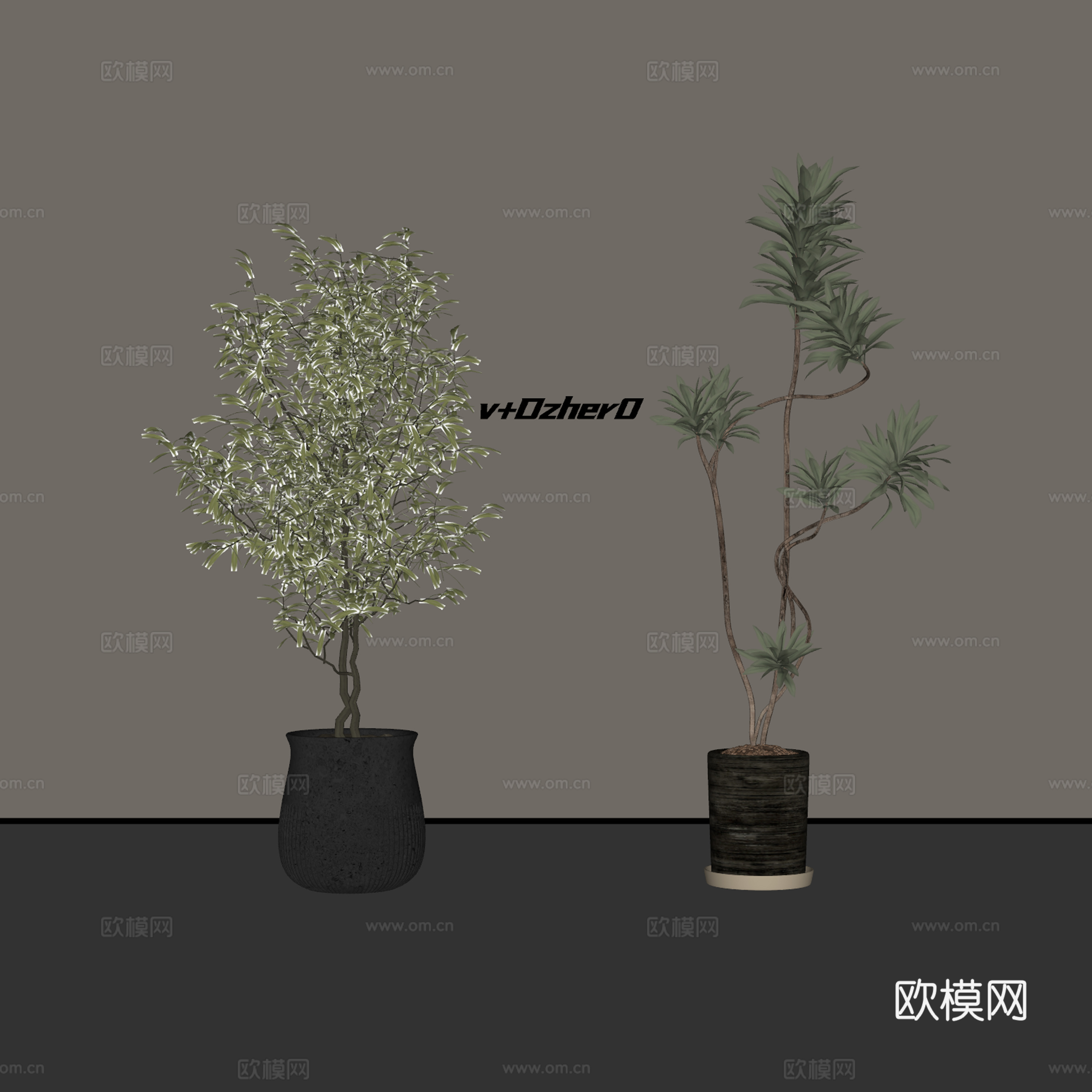 现代绿植盆栽su模型