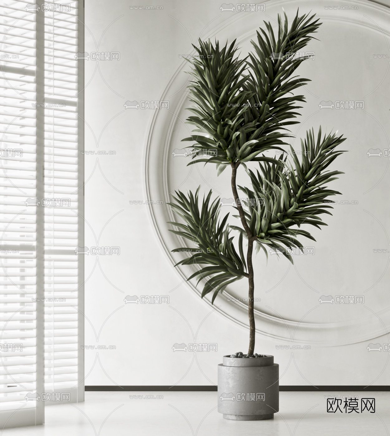 现代绿植盆栽3d模型下载（渲染图3）