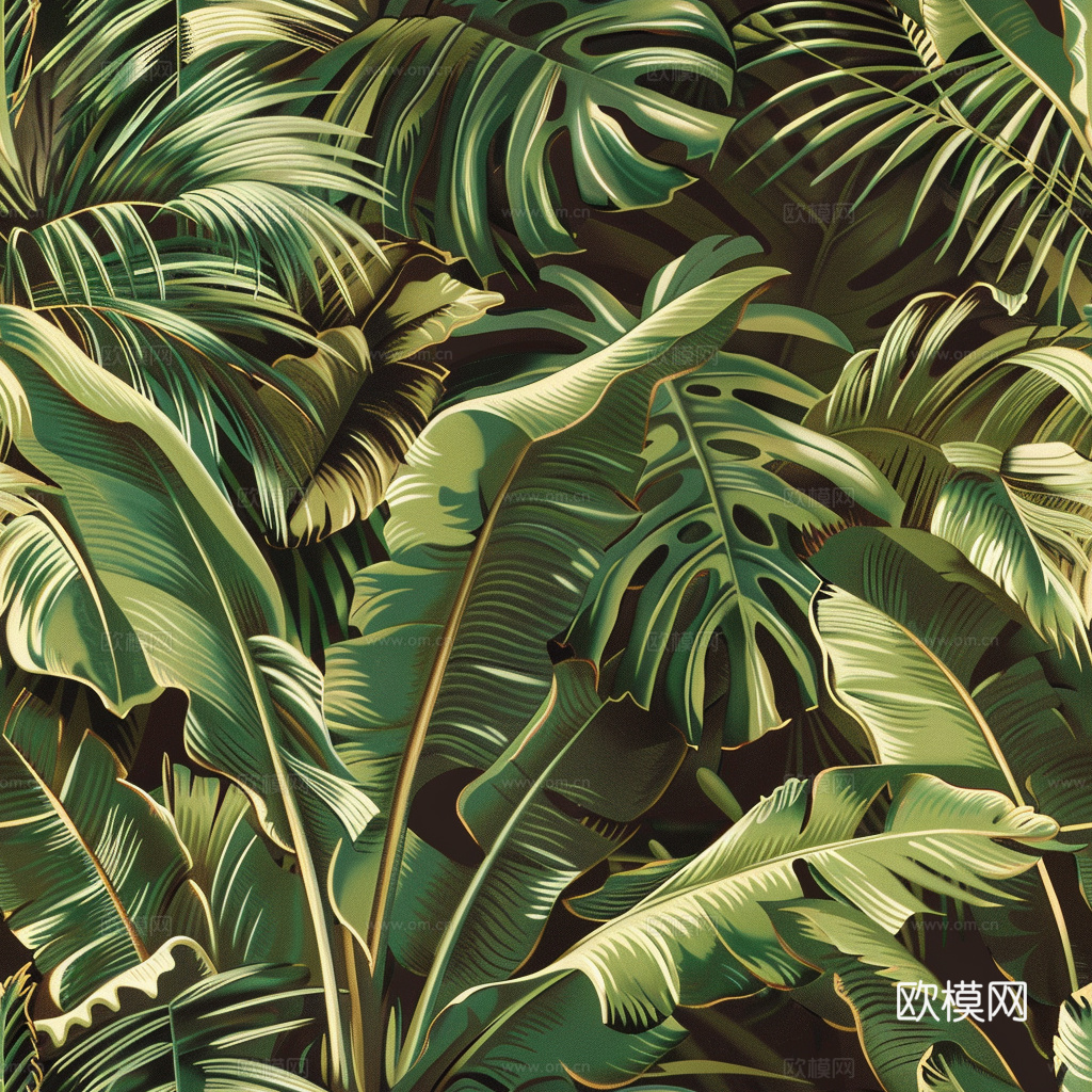 热带雨林壁纸 植物壁纸 壁纸 墙纸下载