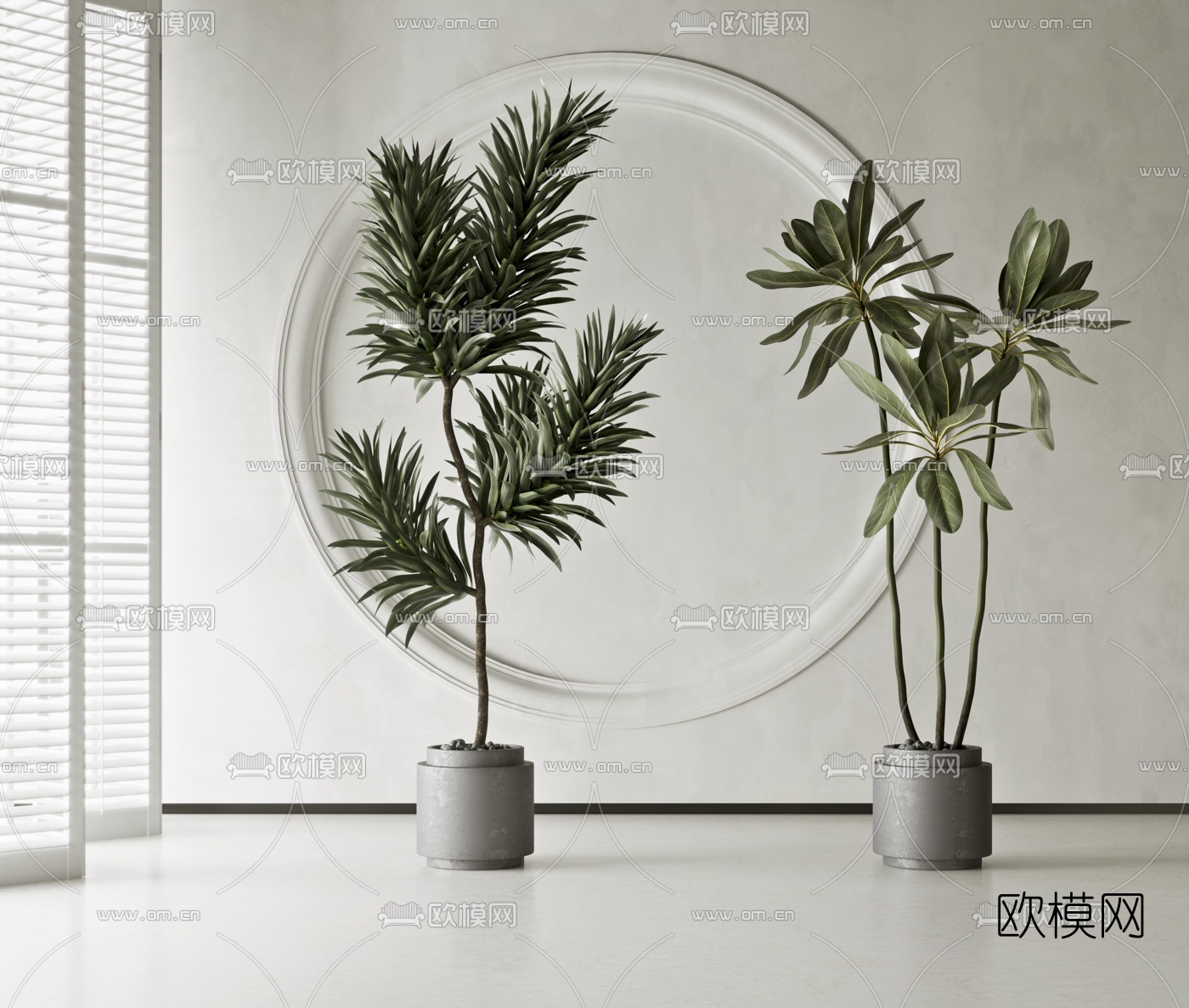 现代绿植盆栽3d模型下载（渲染图1）