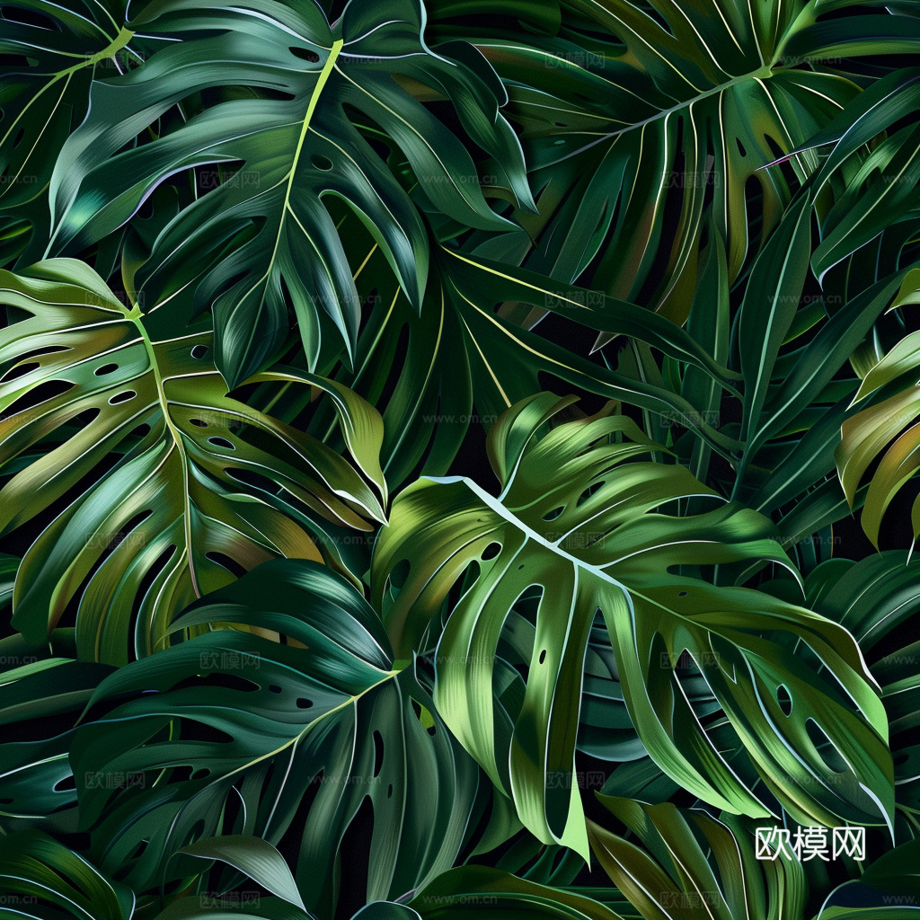 热带雨林壁纸 植物壁纸 壁纸 墙纸