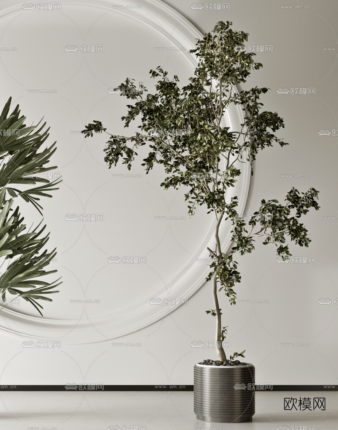 现代植物盆栽3d模型下载（渲染图3）