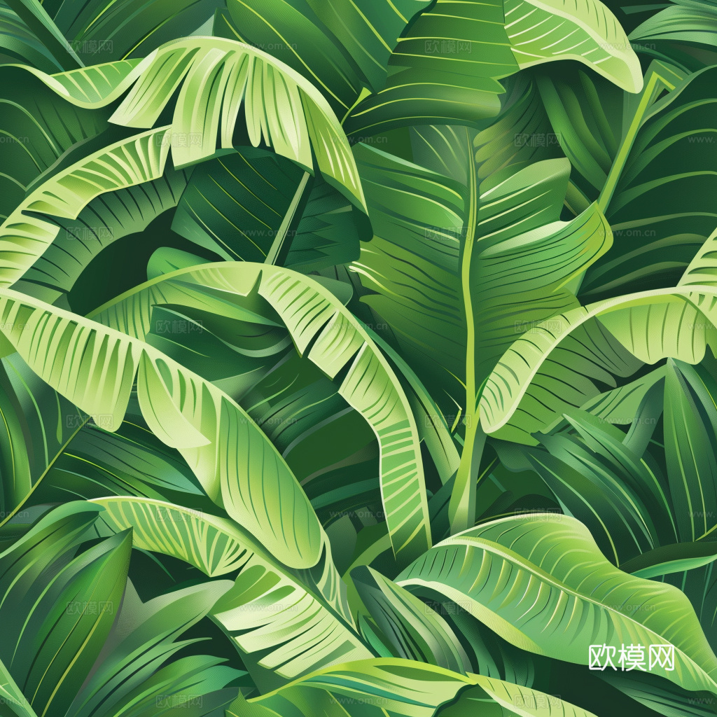 热带雨林壁纸 植物壁纸 壁纸 墙纸