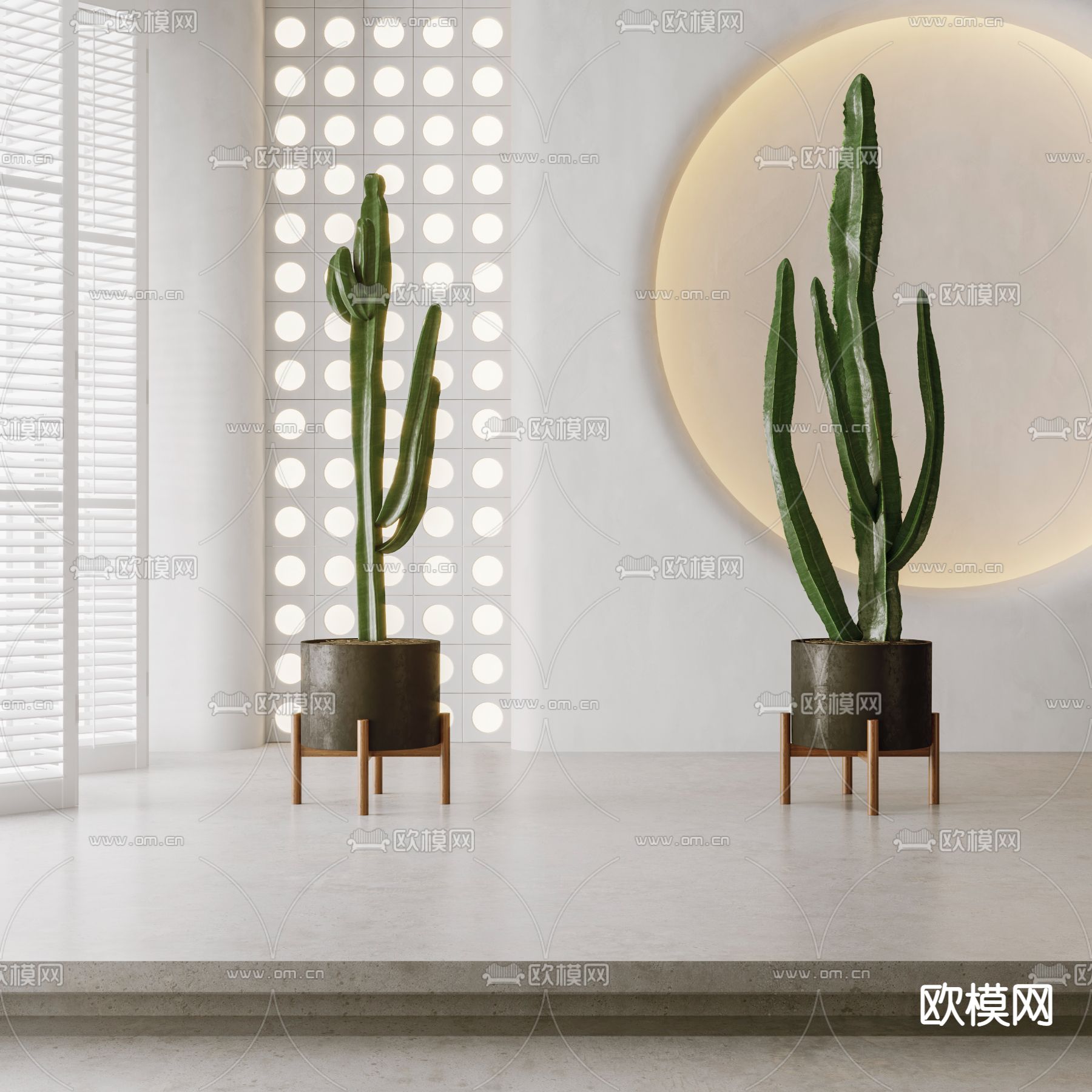 现代仙人掌盆栽3d模型下载