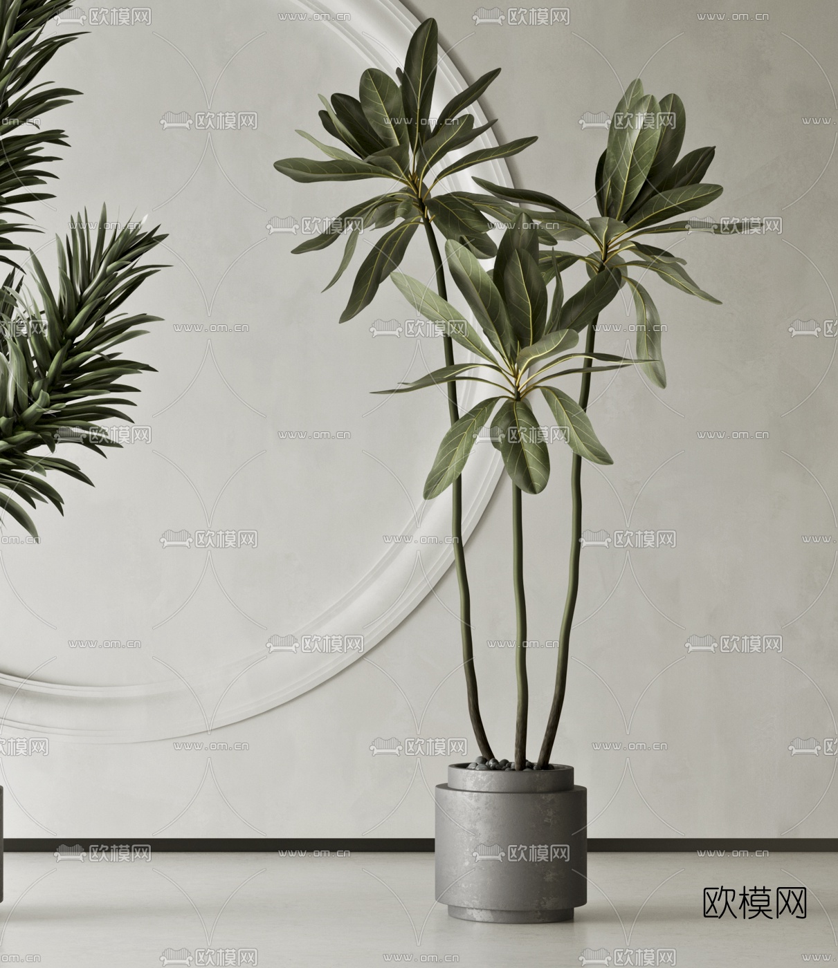 现代绿植盆栽3d模型下载（渲染图2）