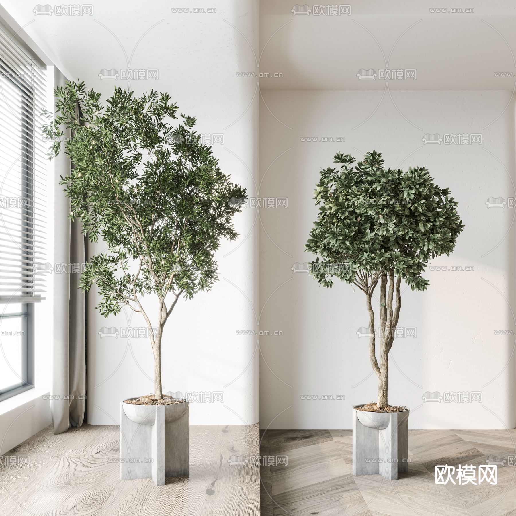 现代绿植盆栽3d模型下载