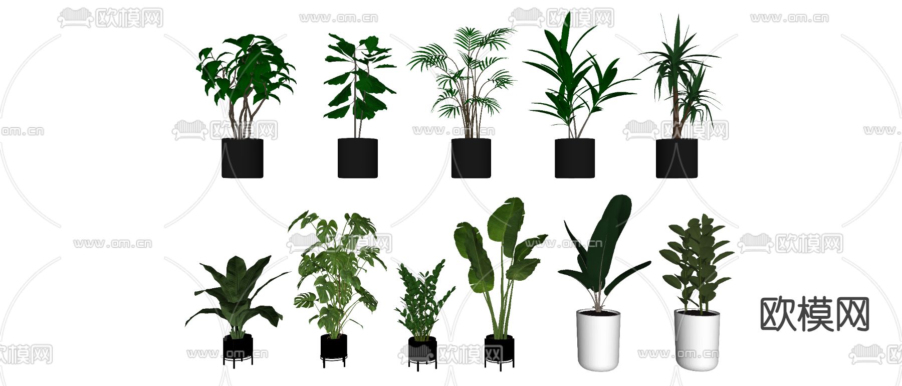 绿植 盆栽 花盆su模型