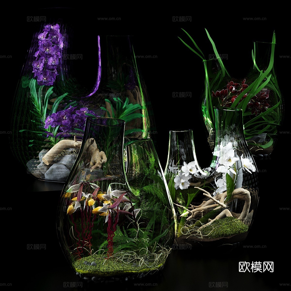 兰花玻璃花瓶3d模型