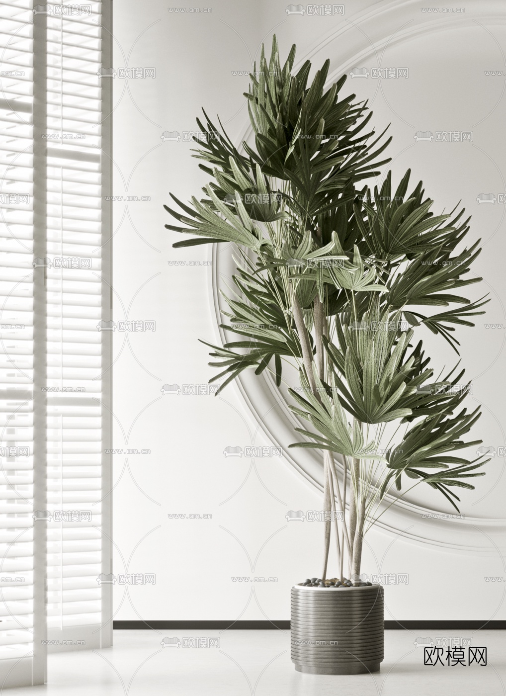 现代植物盆栽3d模型下载（渲染图2）