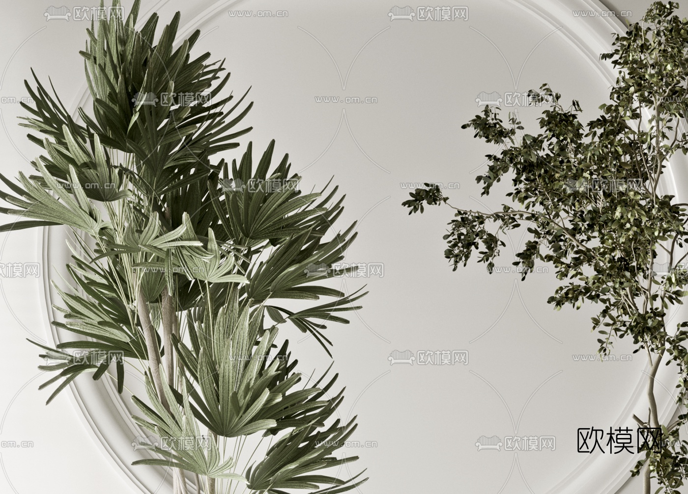 现代植物盆栽3d模型下载（渲染图4）