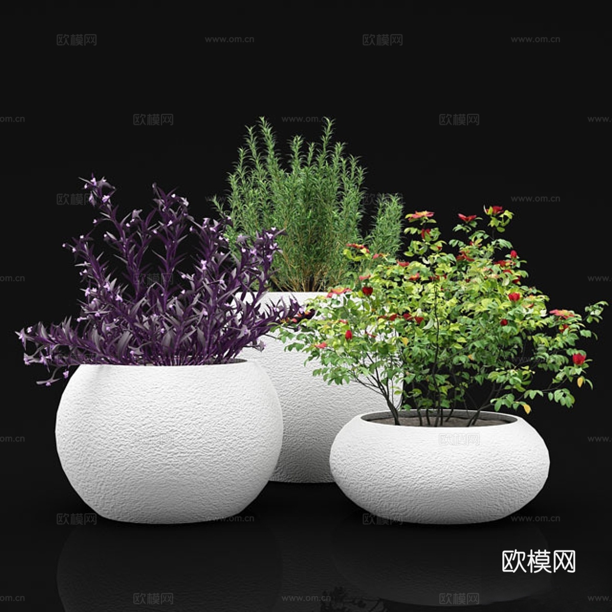 户外花盆中的灌木3d模型