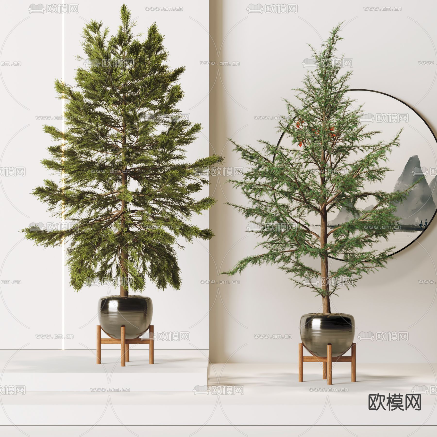 松树植物盆栽3d模型下载