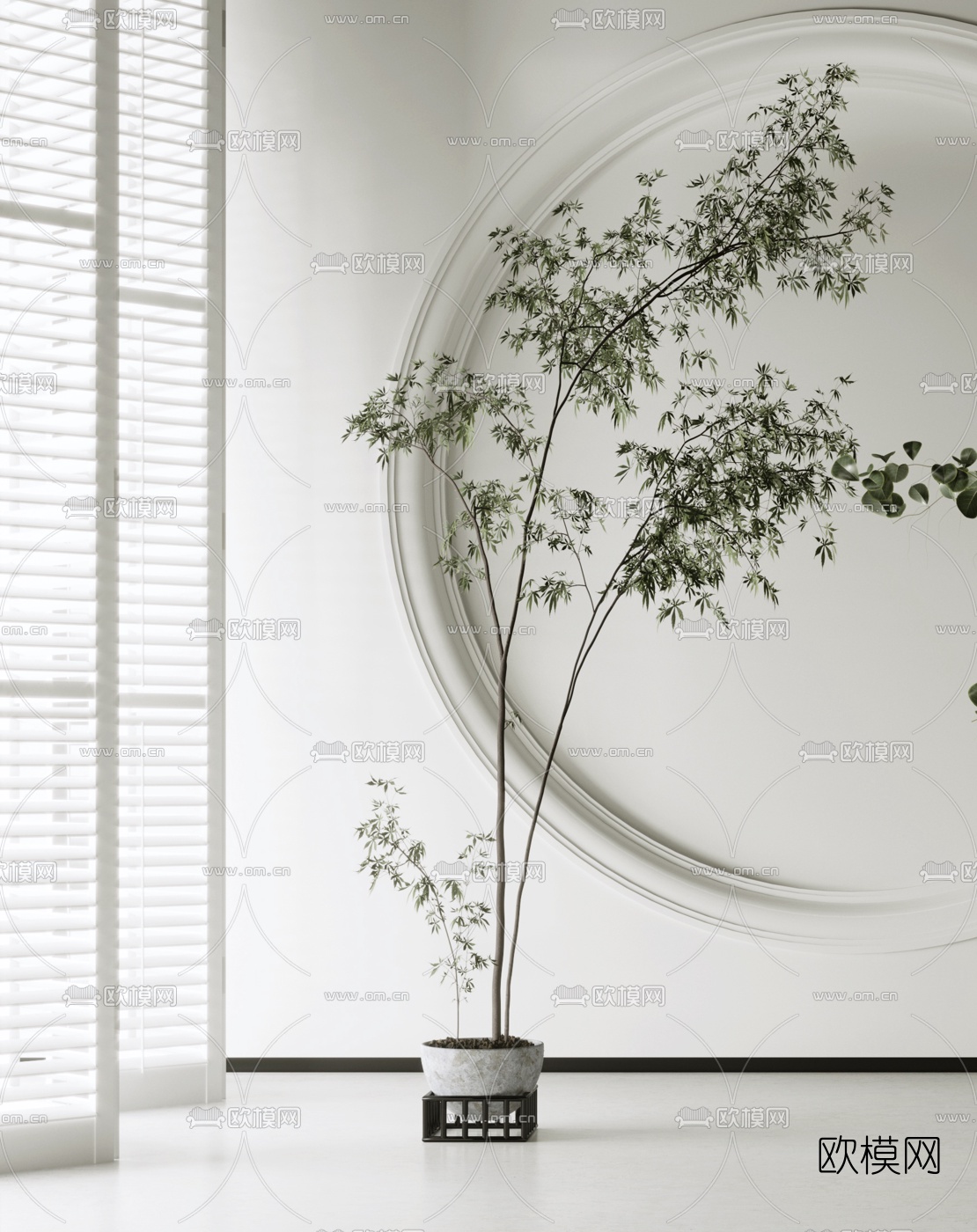 现代绿植盆栽3d模型下载（渲染图3）