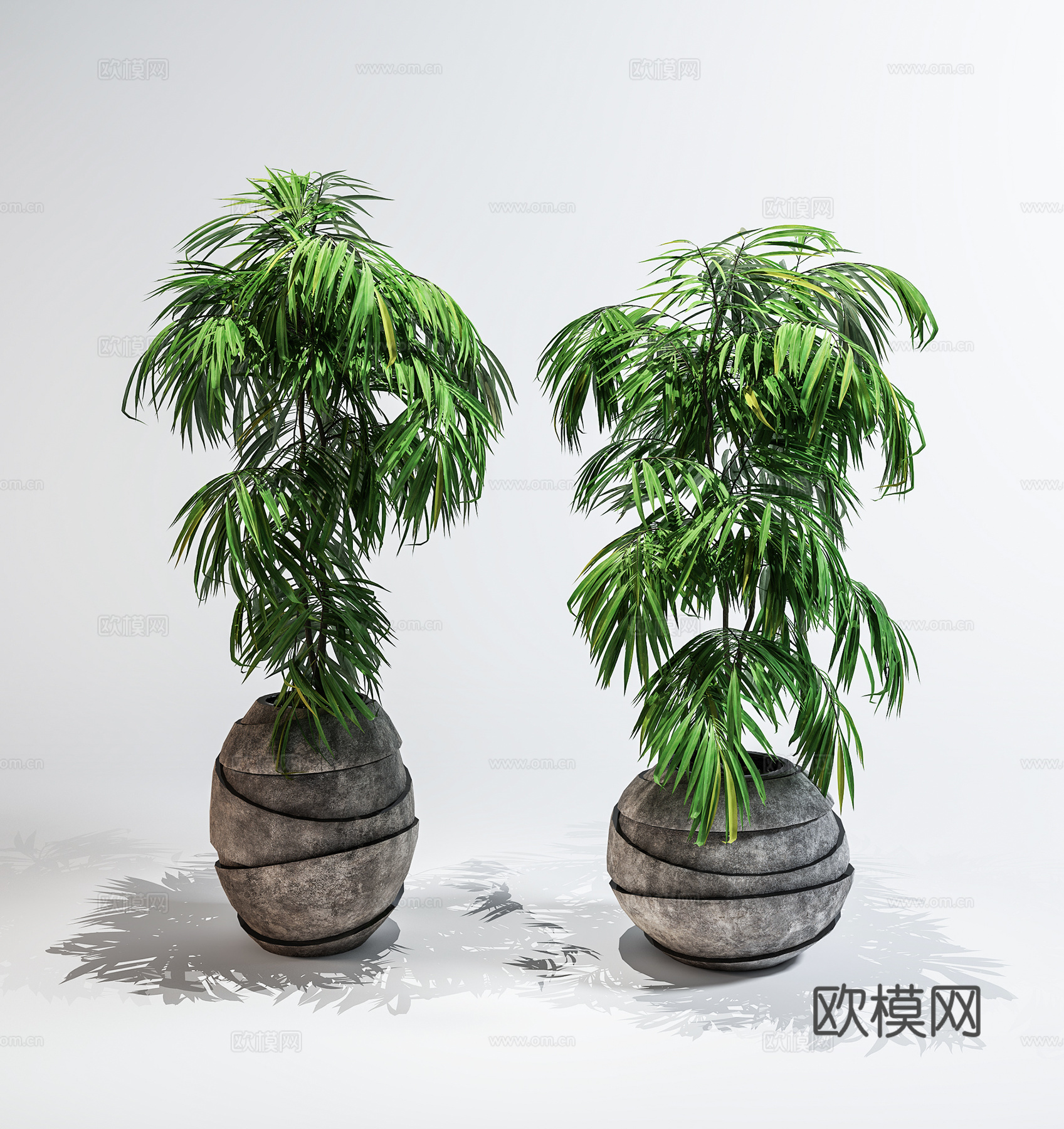 现代盆栽  绿植盆栽  室内绿植su模型