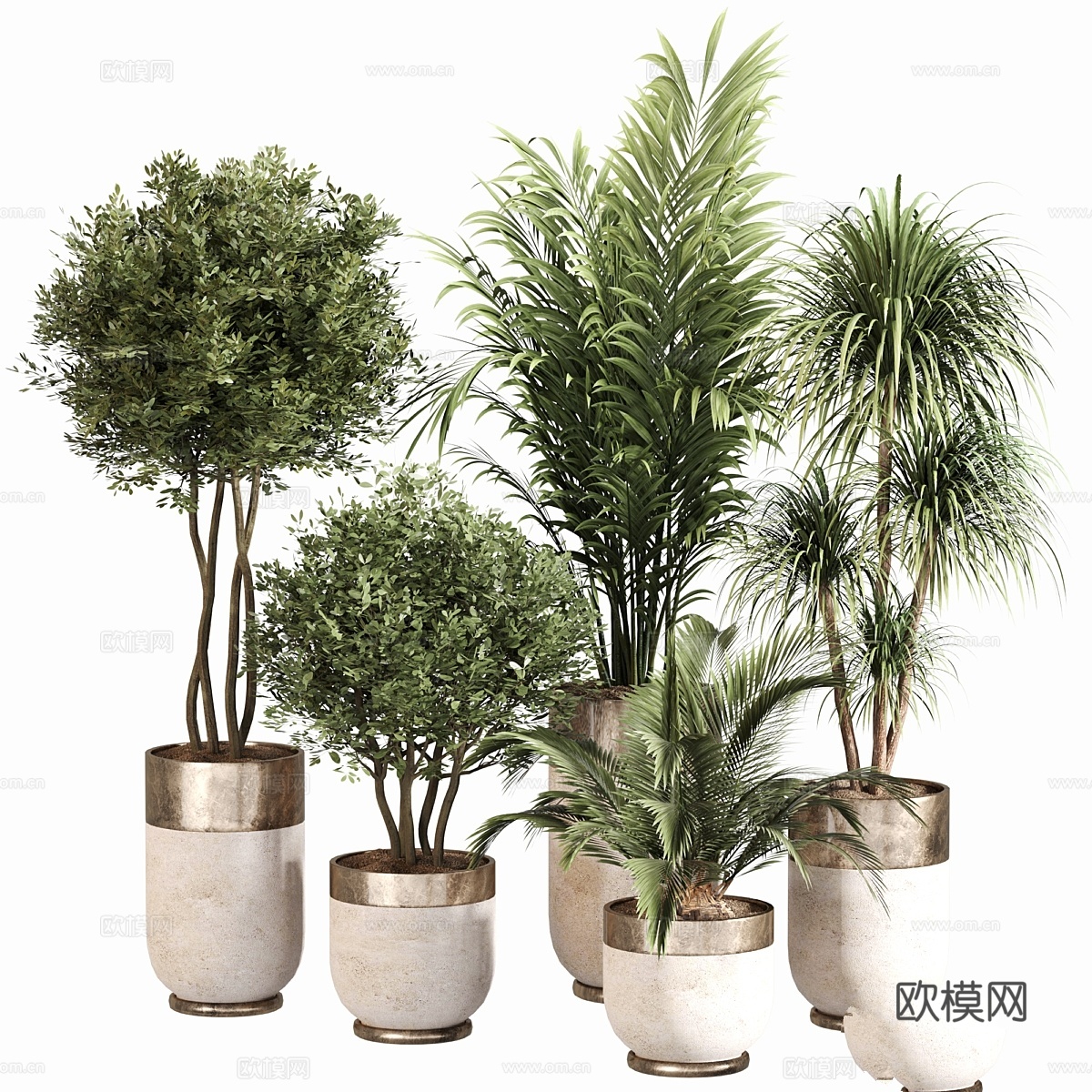 室内植物套装 0533d模型