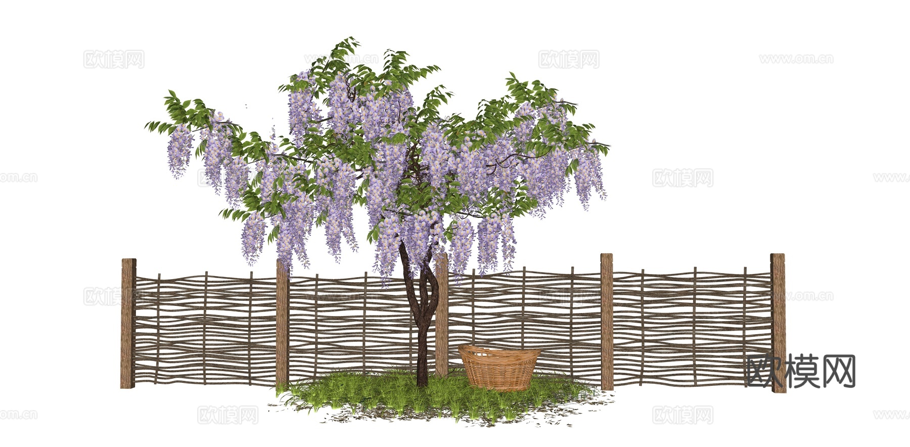 紫藤萝 串钱柳 开花植物 景观树 造景树 爬藤植物 竹编栅栏su模型