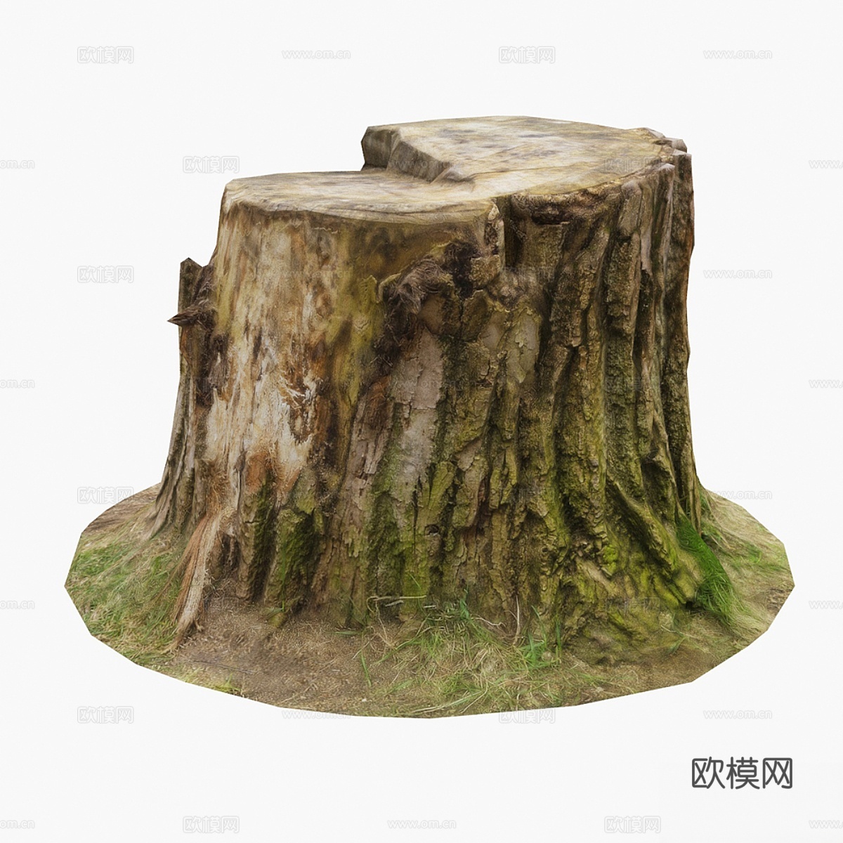 树桩3d模型