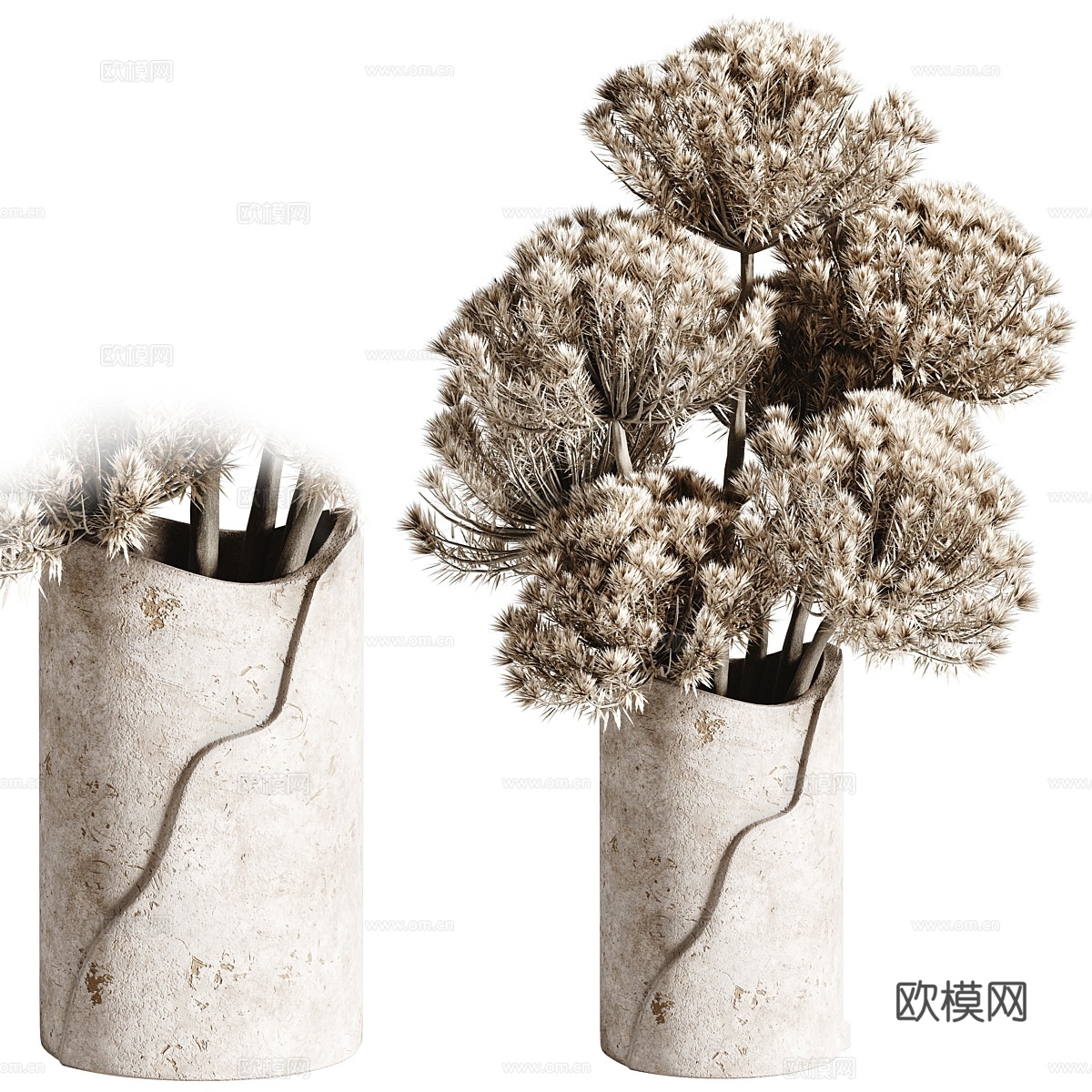 花束_H163d模型