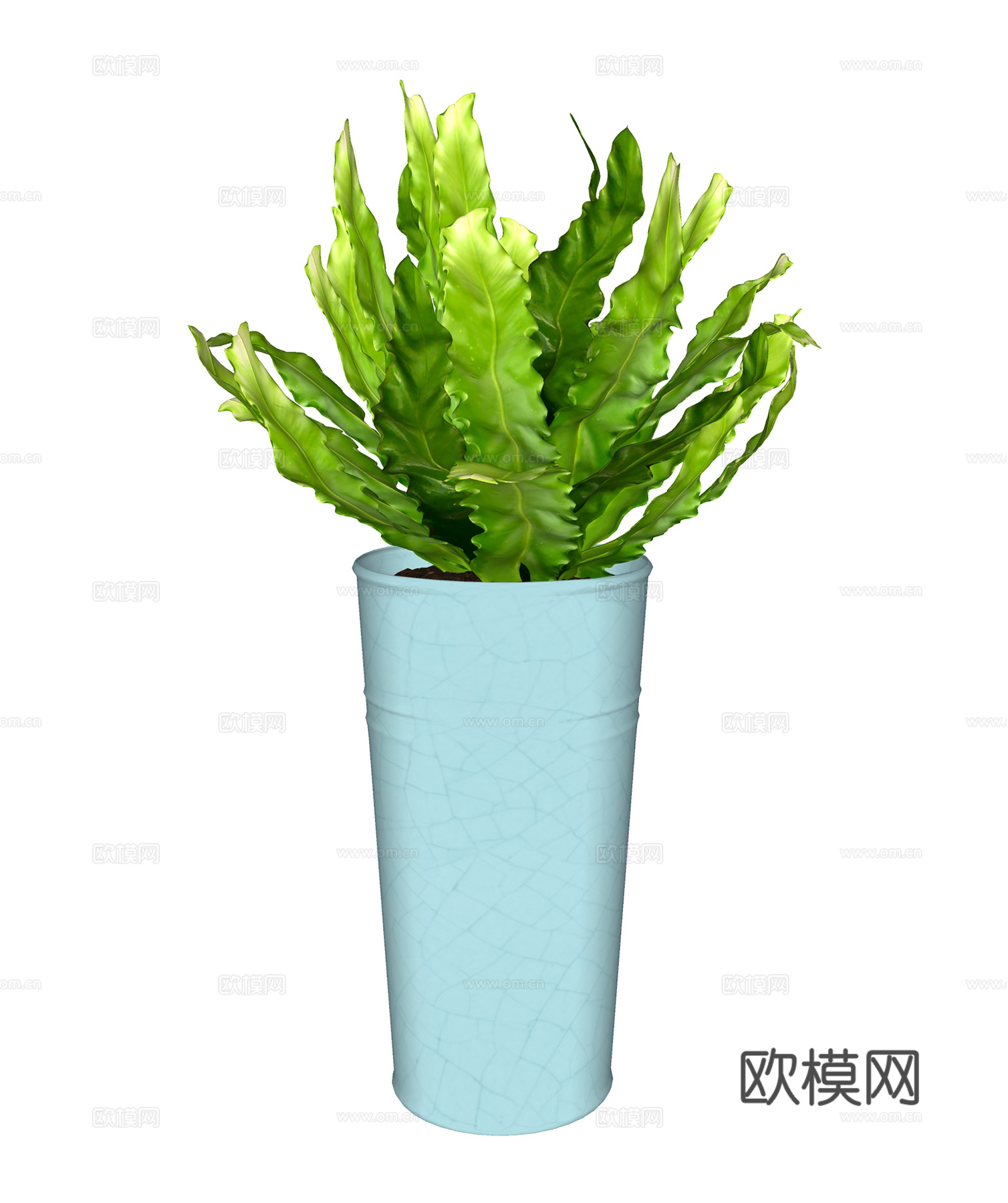 现代盆栽  绿植盆栽  室内绿植su模型