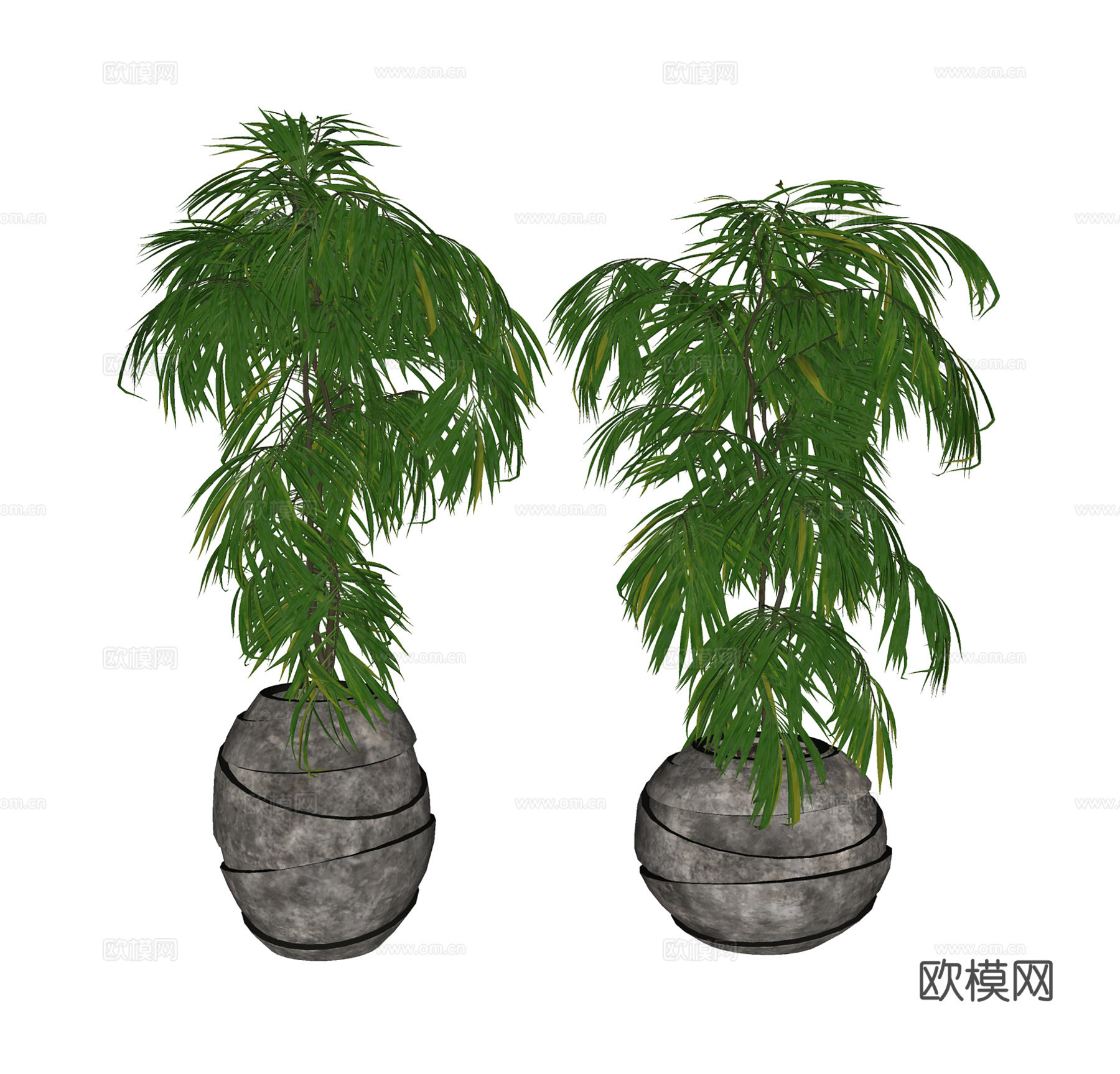 现代盆栽  绿植盆栽  室内绿植su模型