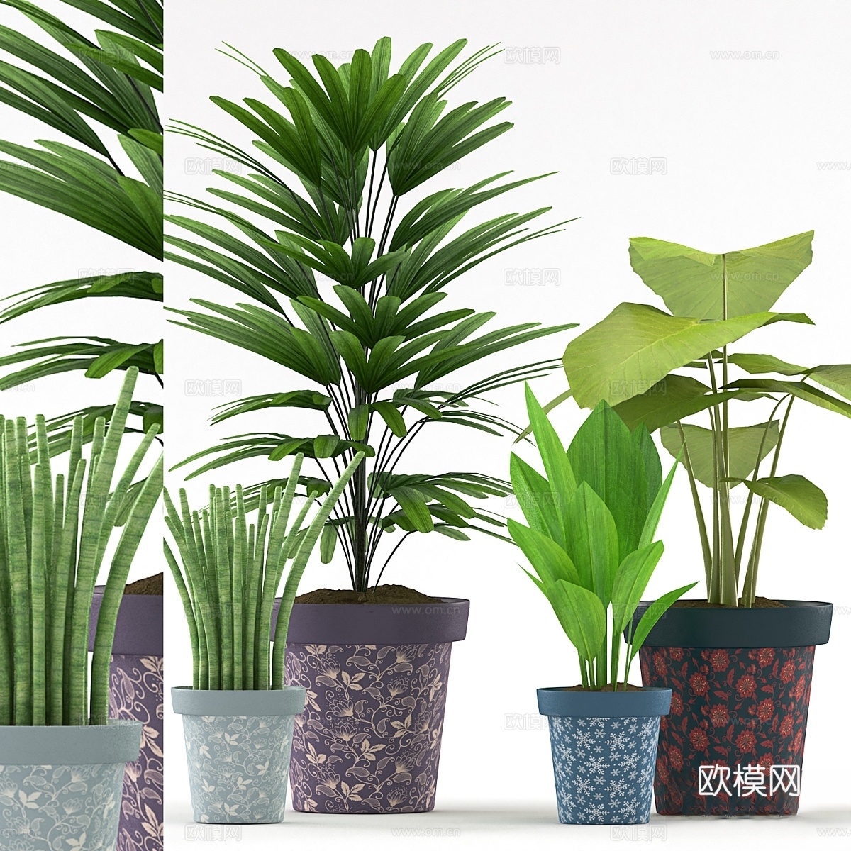 植物1143d模型
