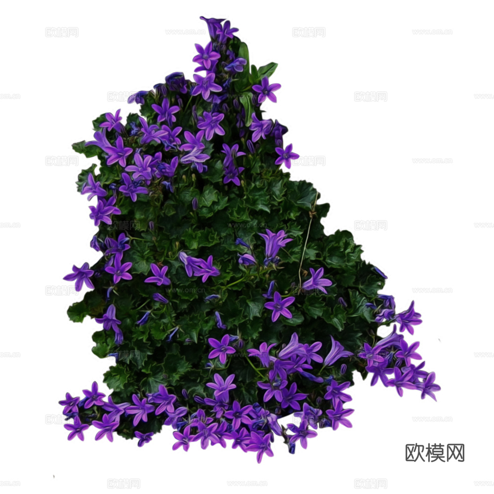 绿植 草丛 鲜花