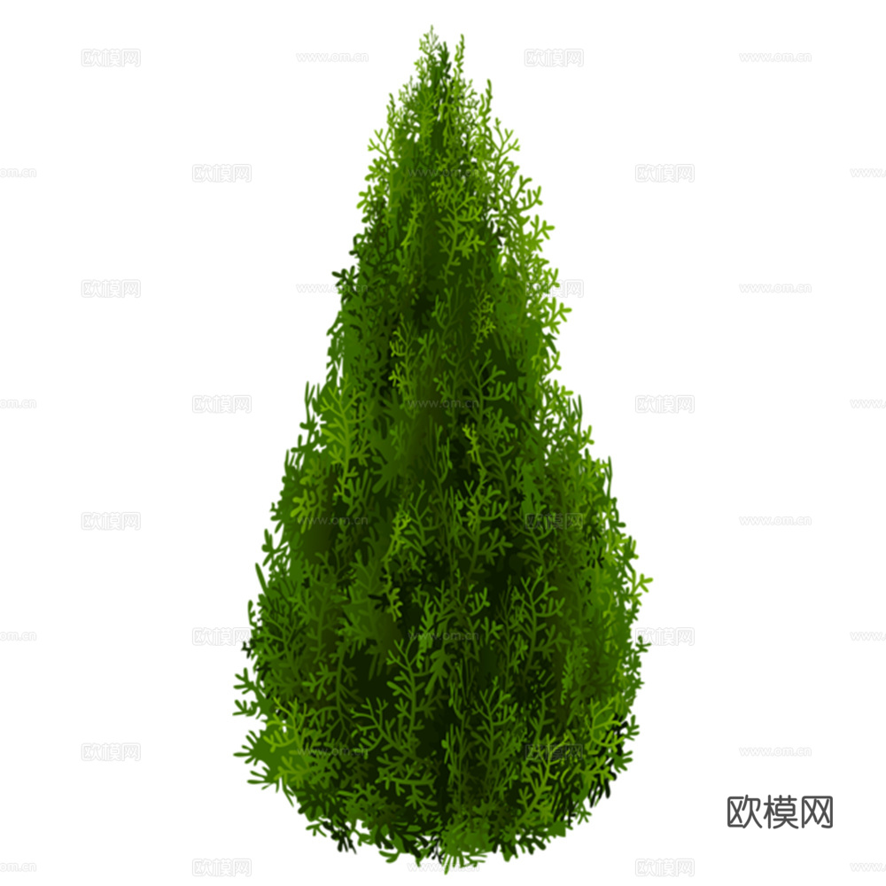 绿植 树 树木