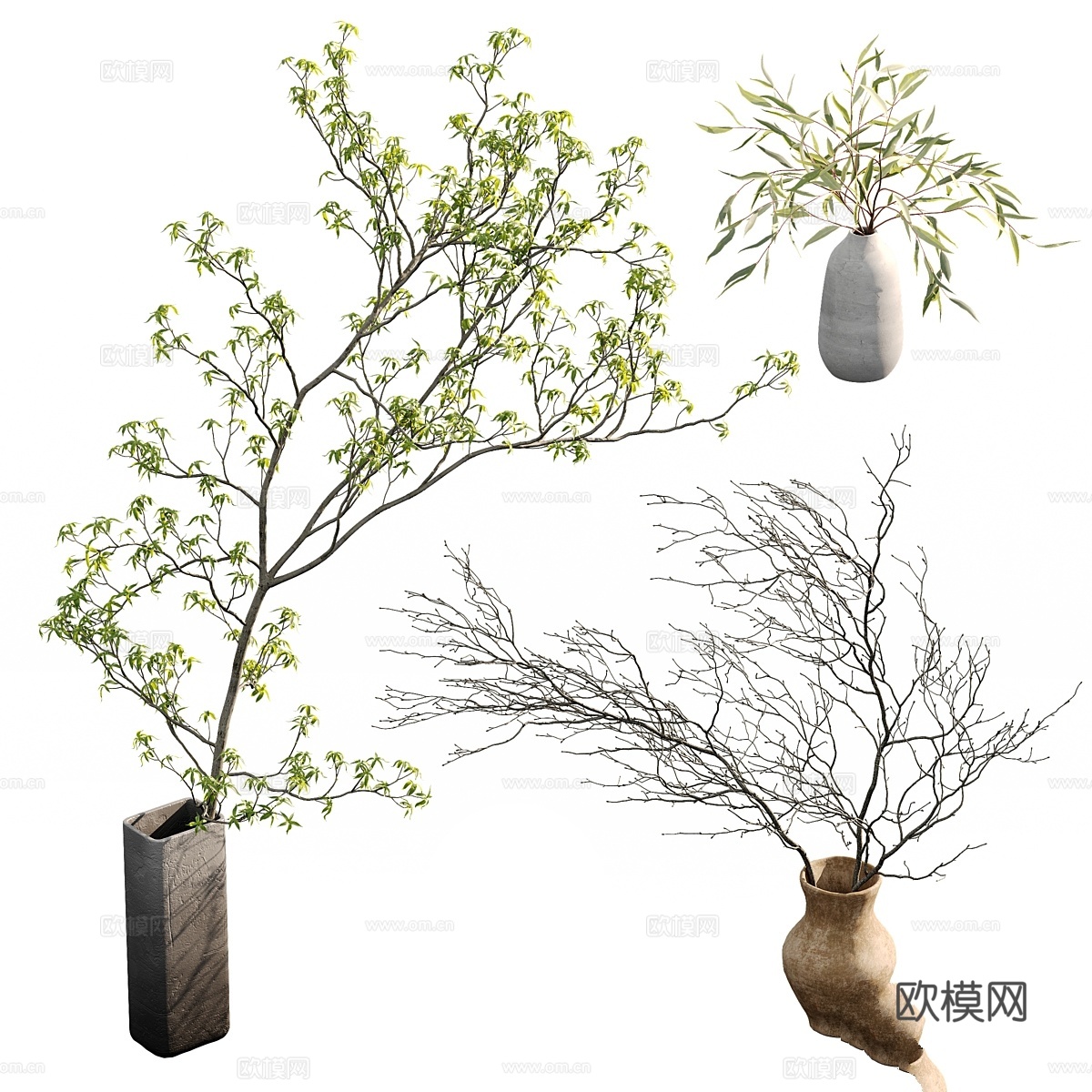 花瓶中的树枝3d模型