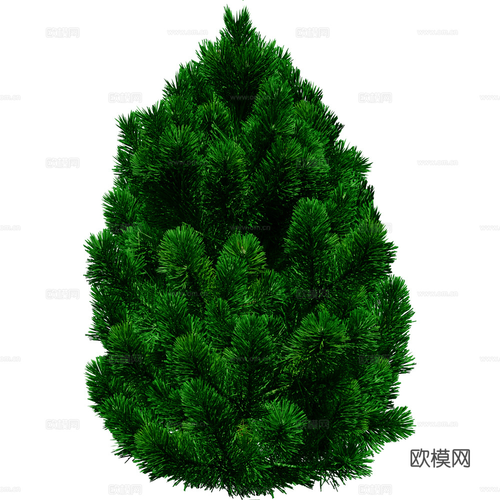 绿植 树 树木