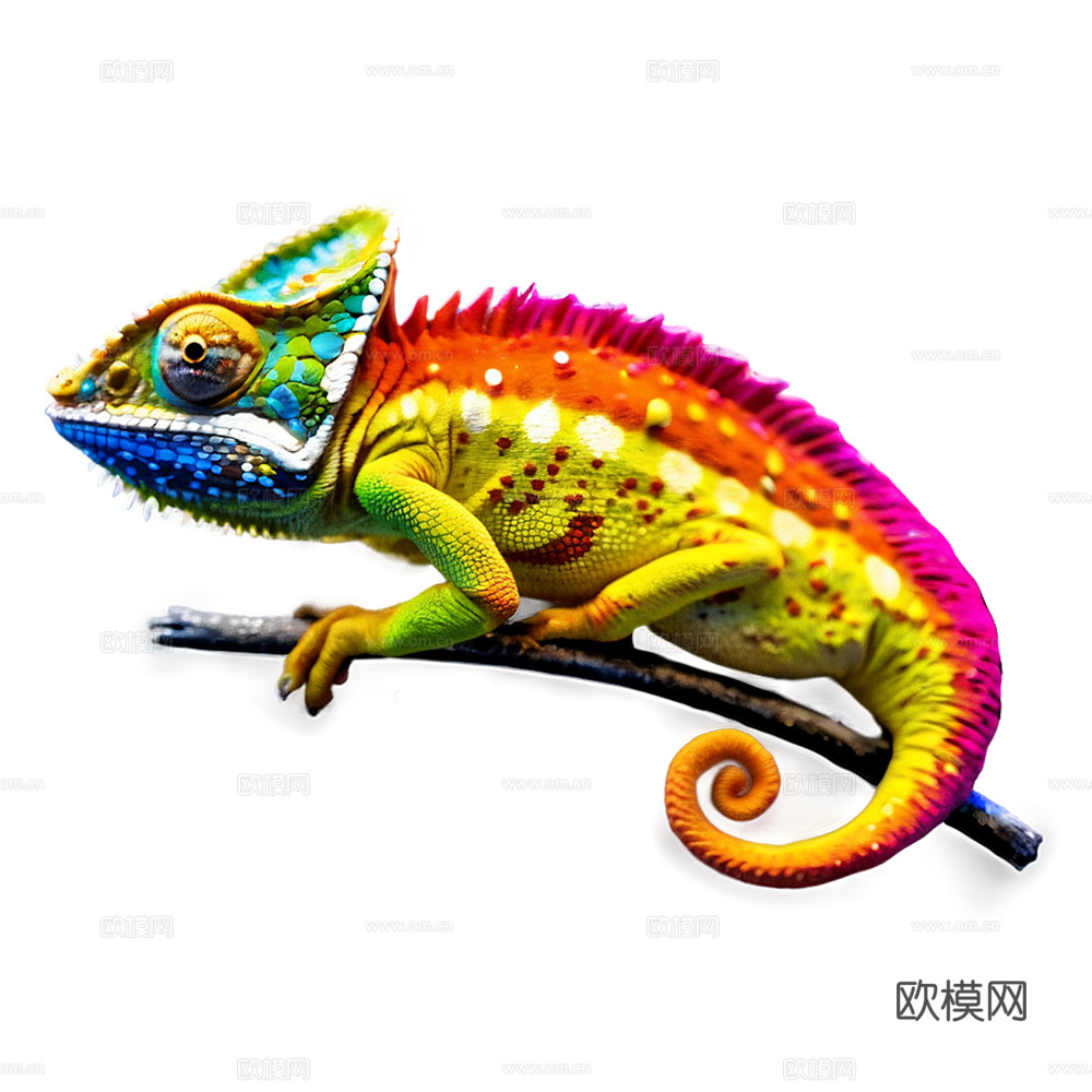 变色龙 蜥蜴 动物