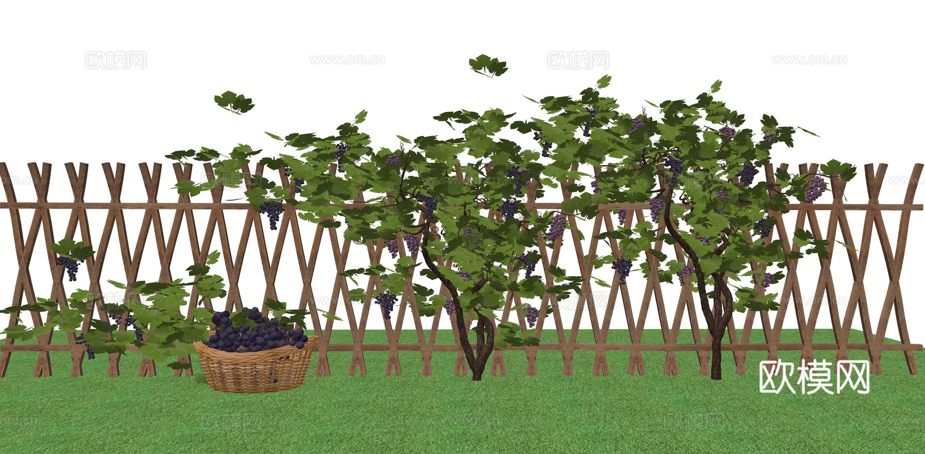 爬藤植物 葡萄藤 藤本植物 藤蔓植物 庭园景观葡萄墙 竹编栅su模型