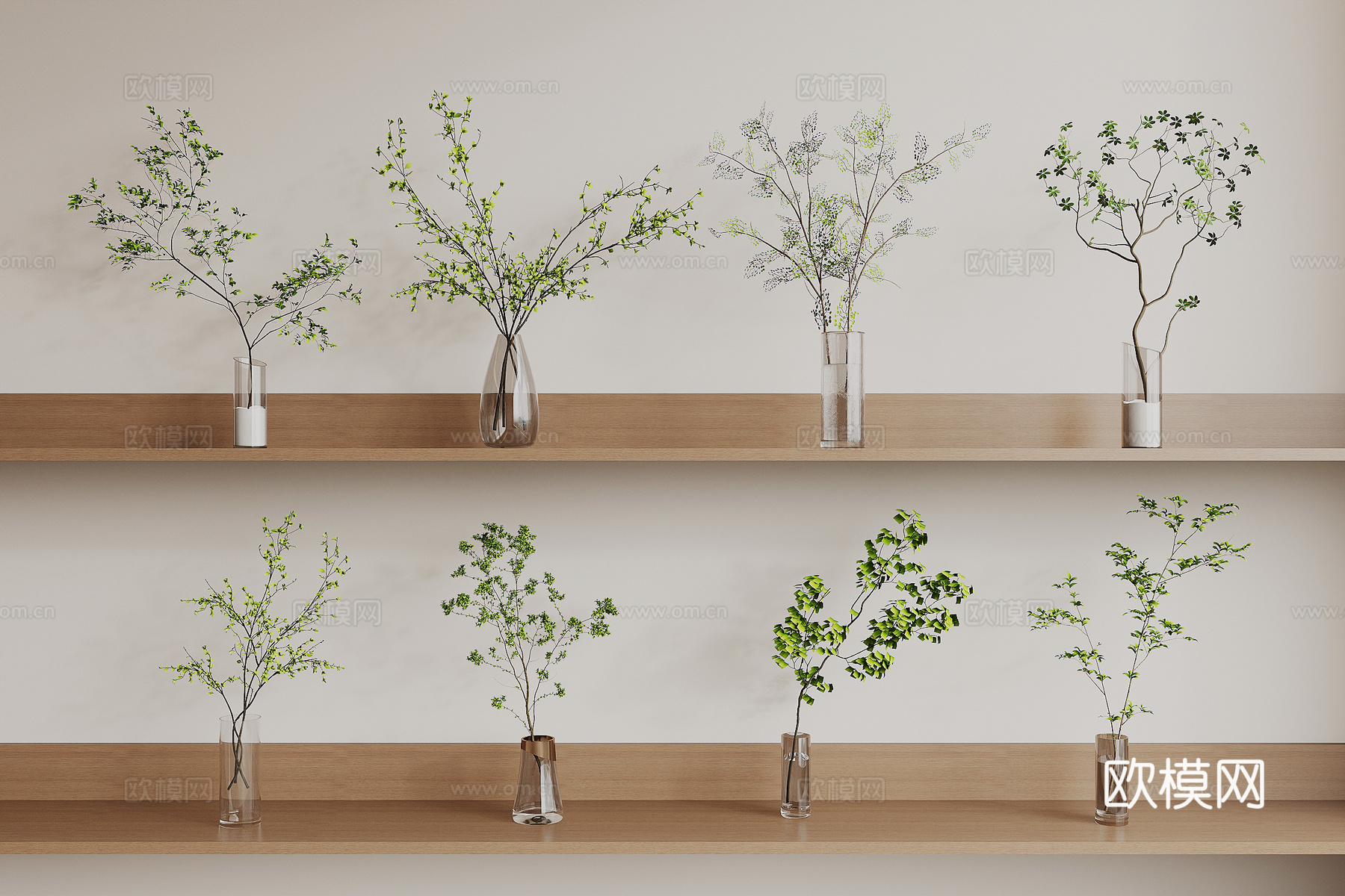 现代植物3d模型