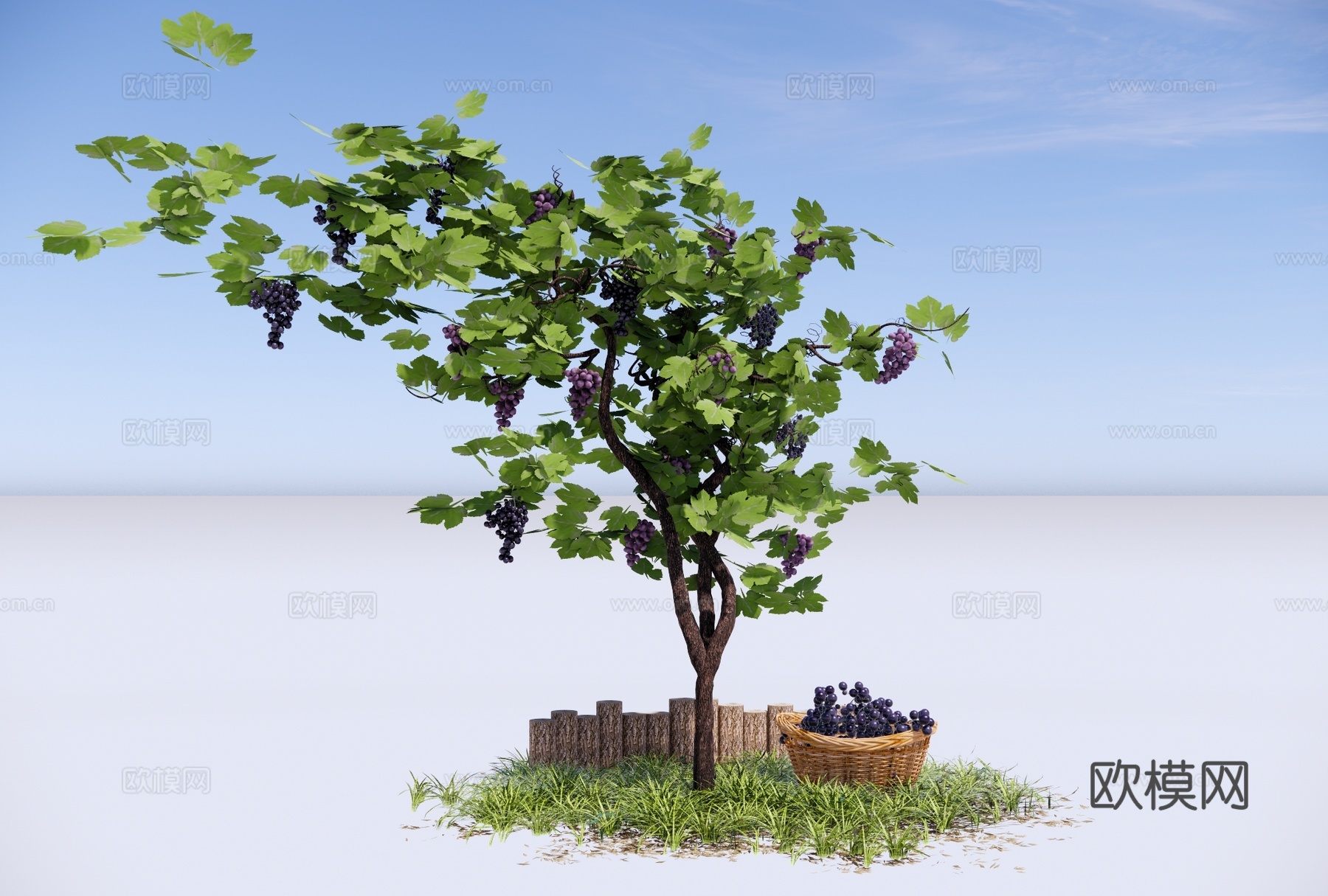 现代葡萄藤 灌木 葡萄 藤本植物 风格景观树su模型