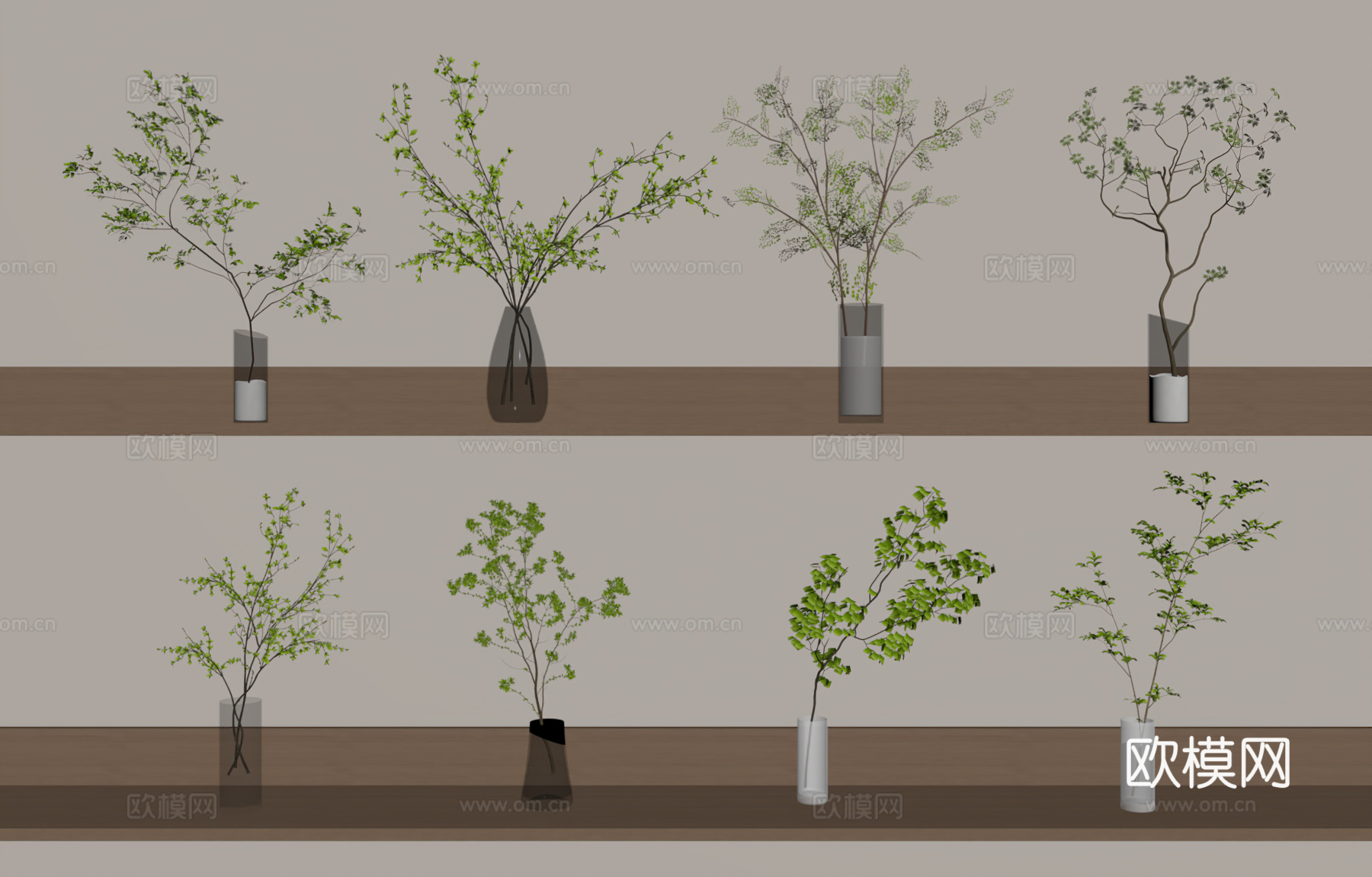 现代植物su模型